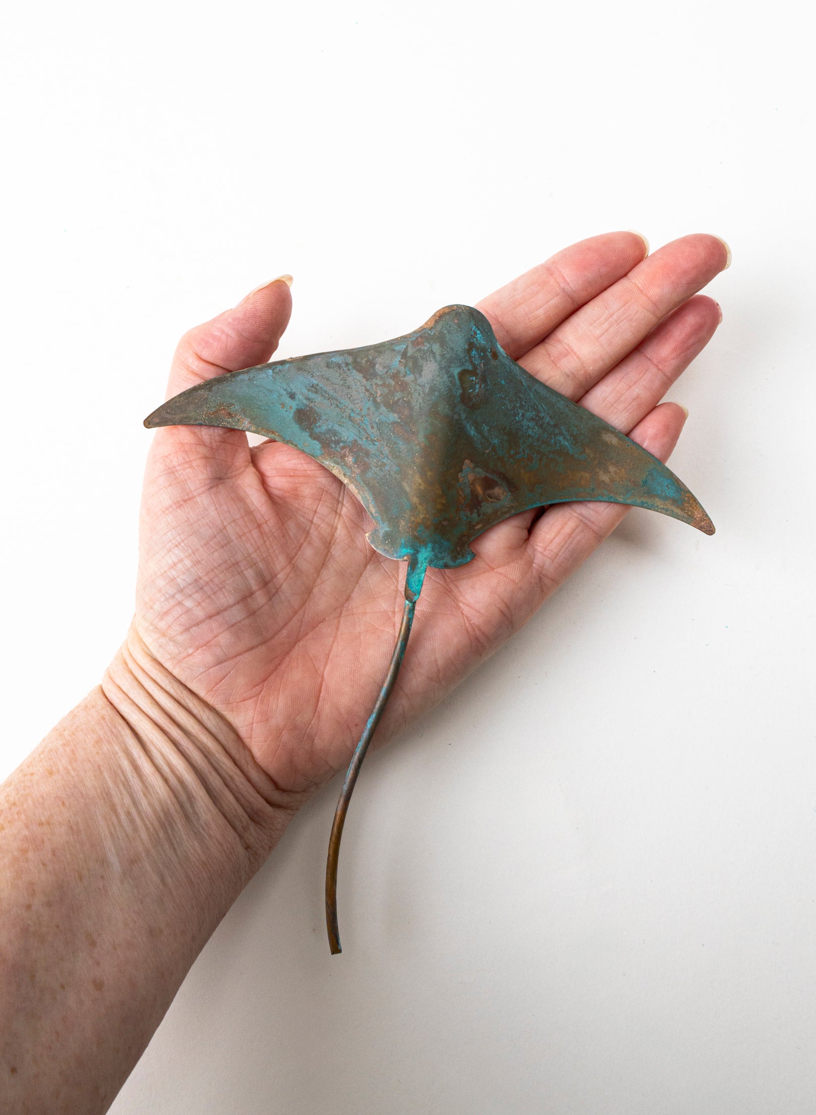 Stingray - Small