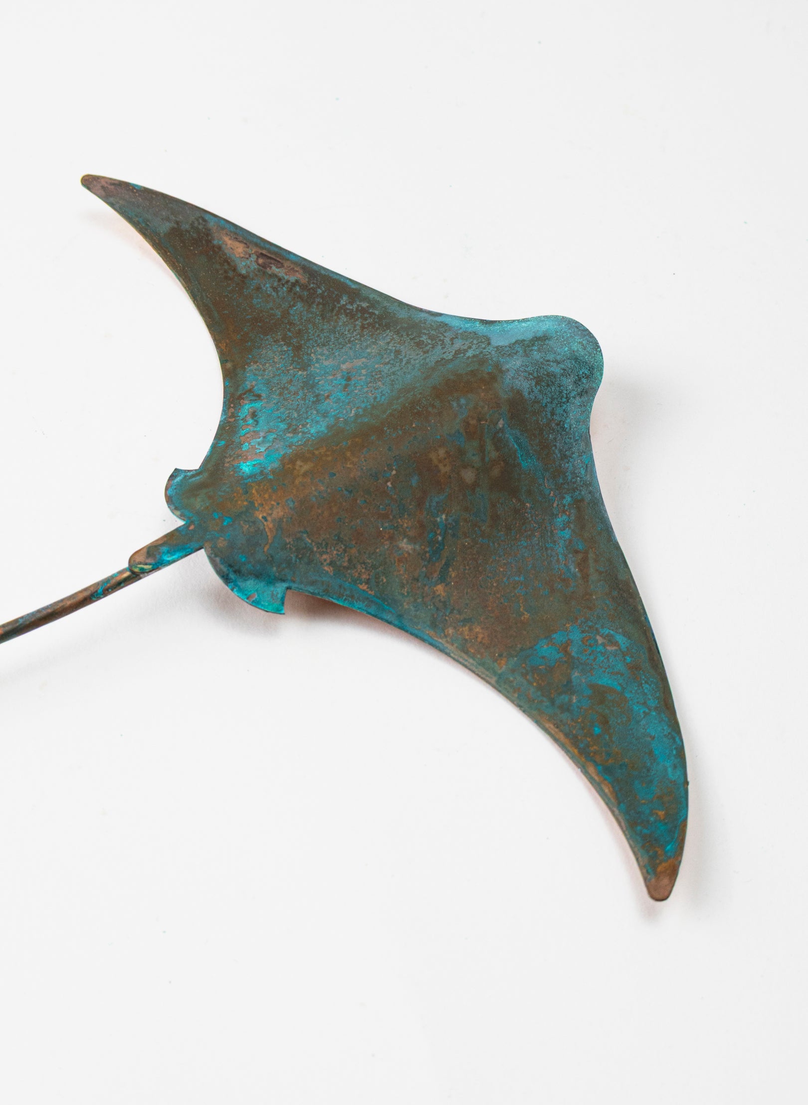 Stingray - Medium