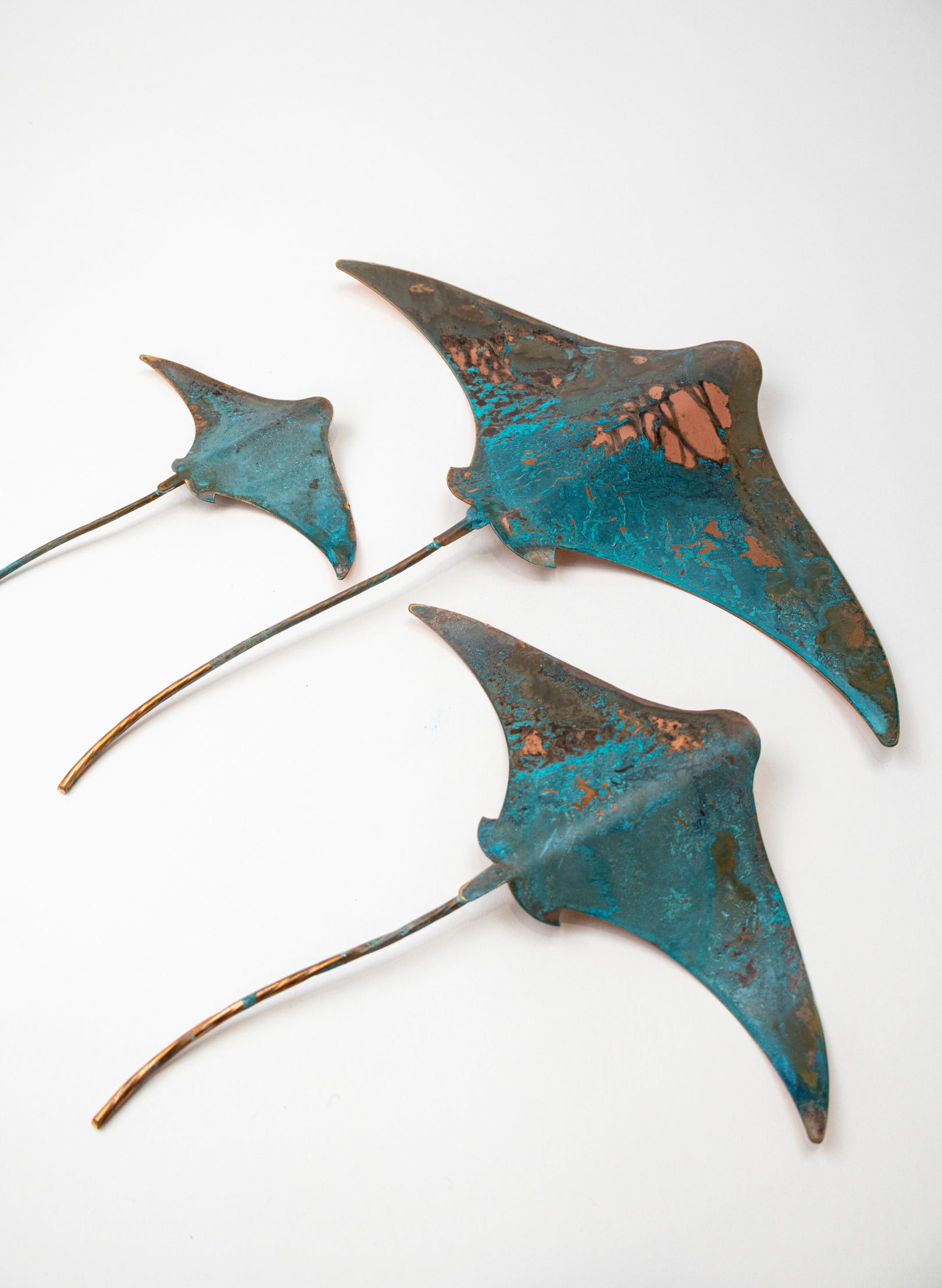 Stingray - Set of 3