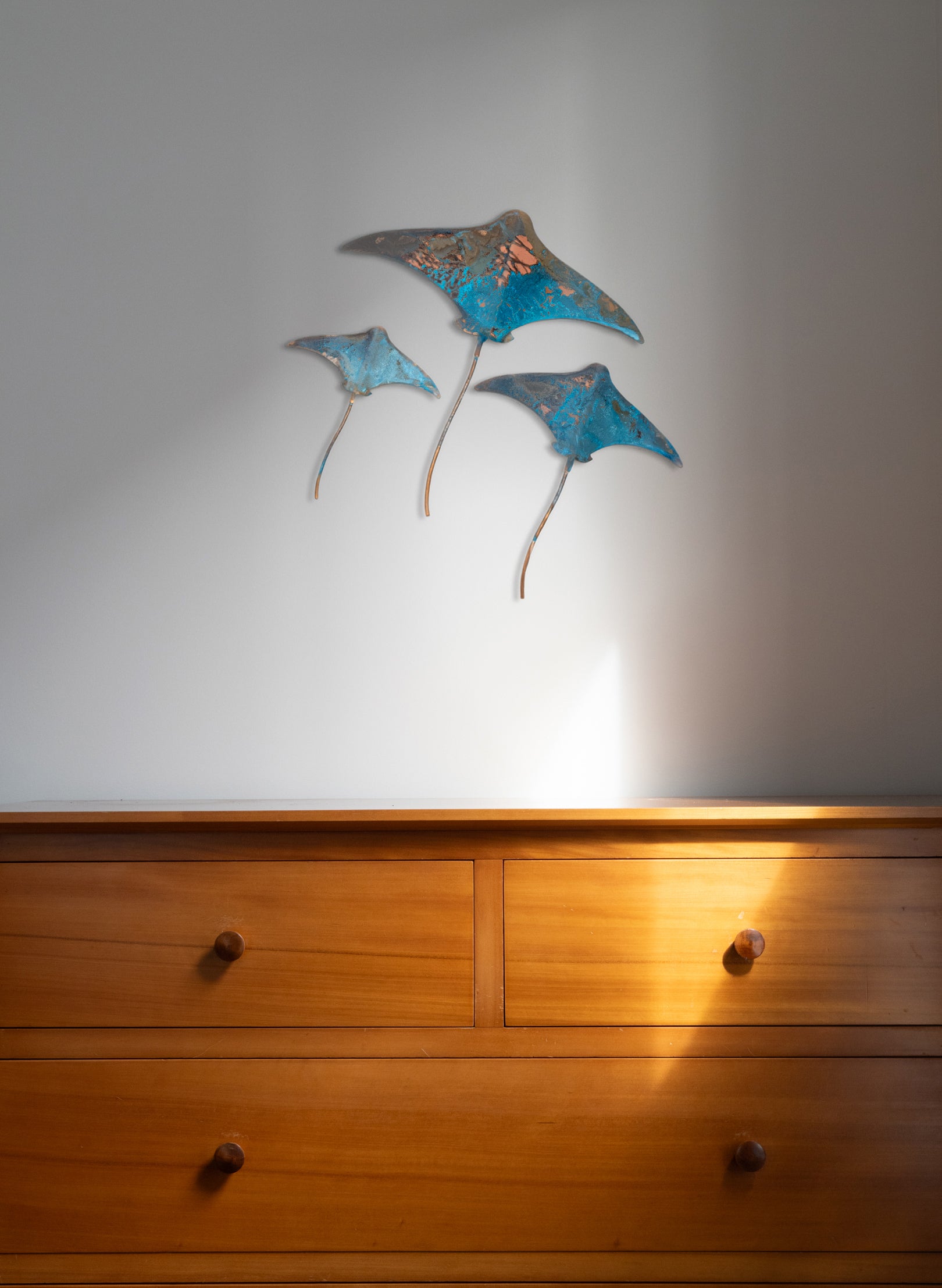 Stingray - Set of 3