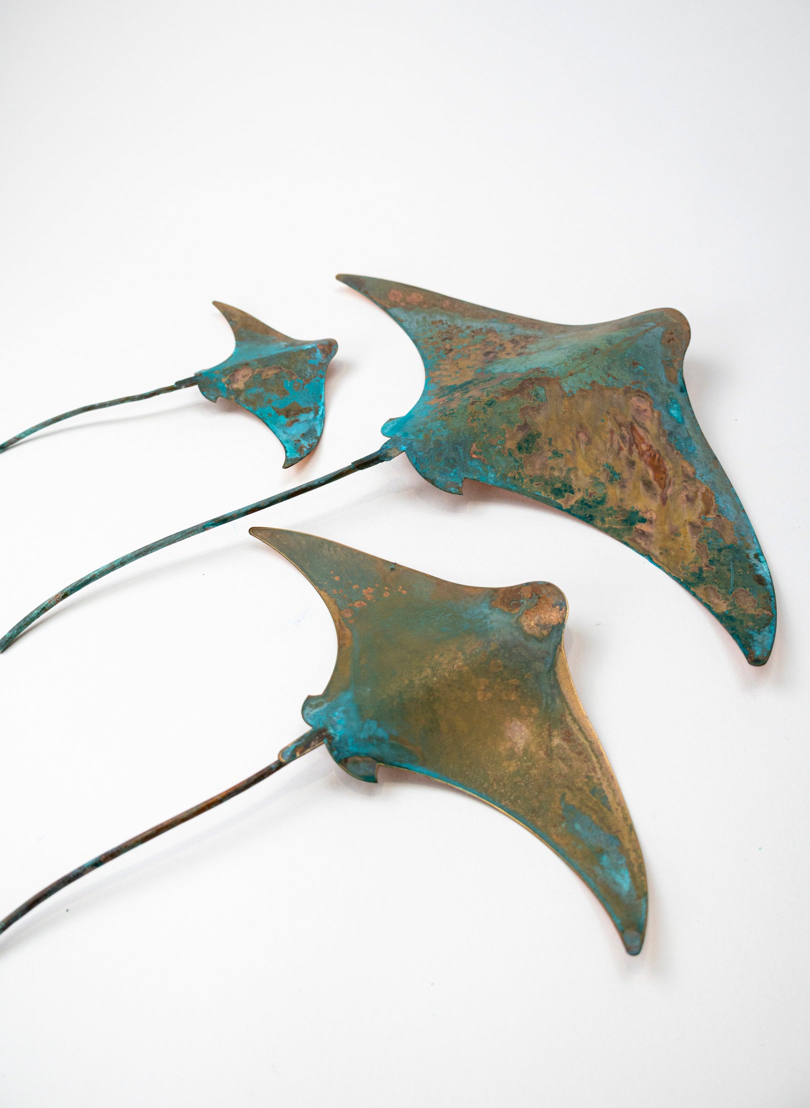 Stingray - Set of 3 (Teal)