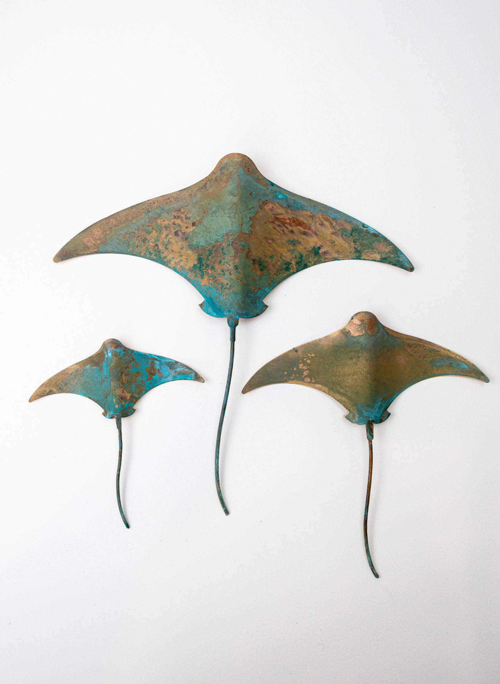 Stingray - Set of 3 (Teal)