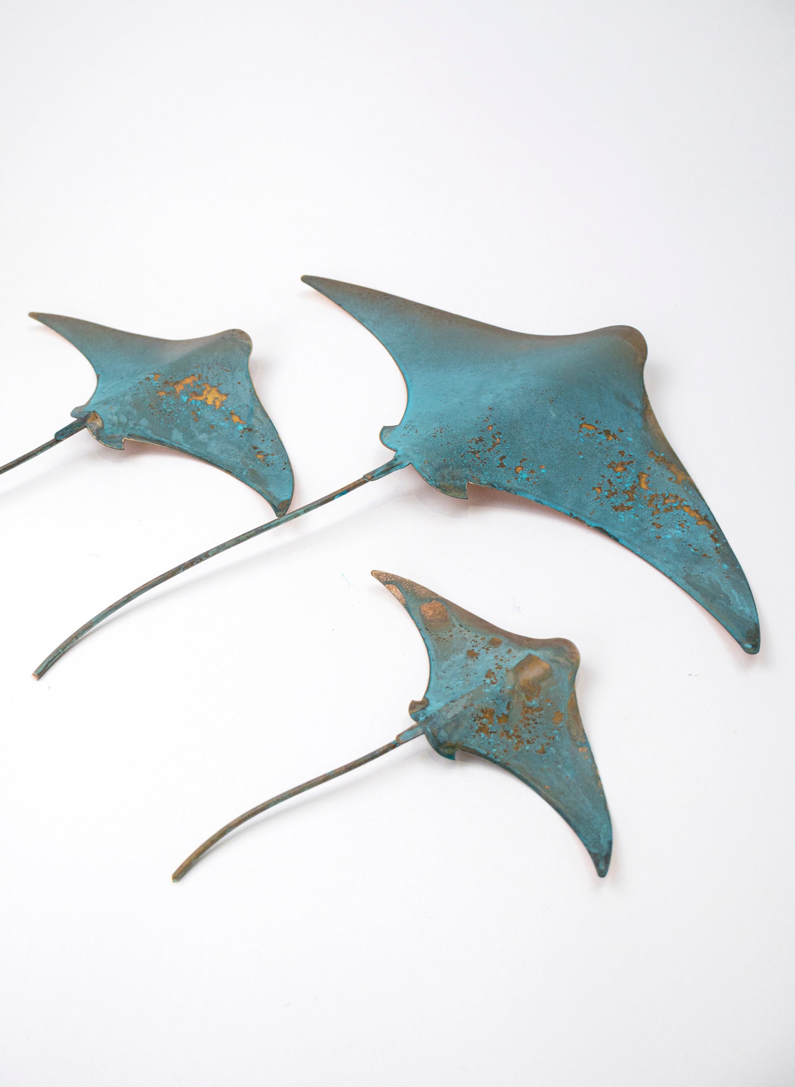 Stingray - Set of 3 (Teal)