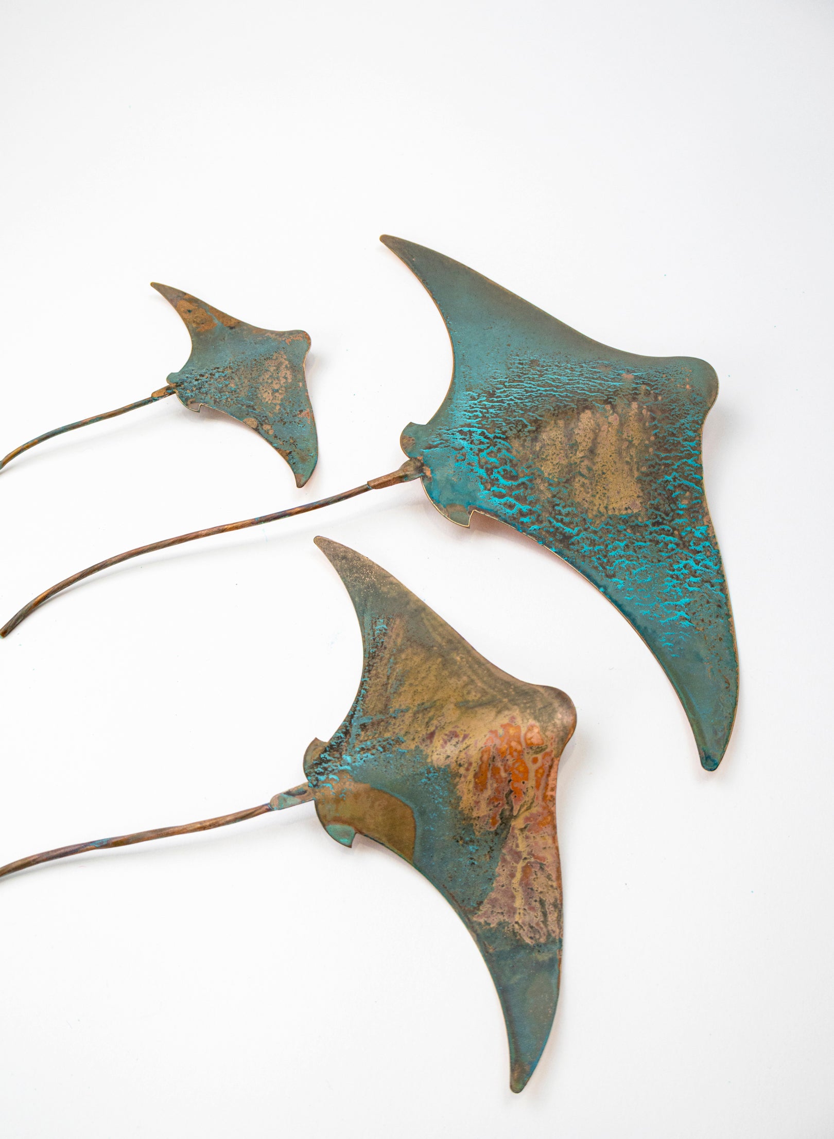 Stingray - Set of 3 (Teal)