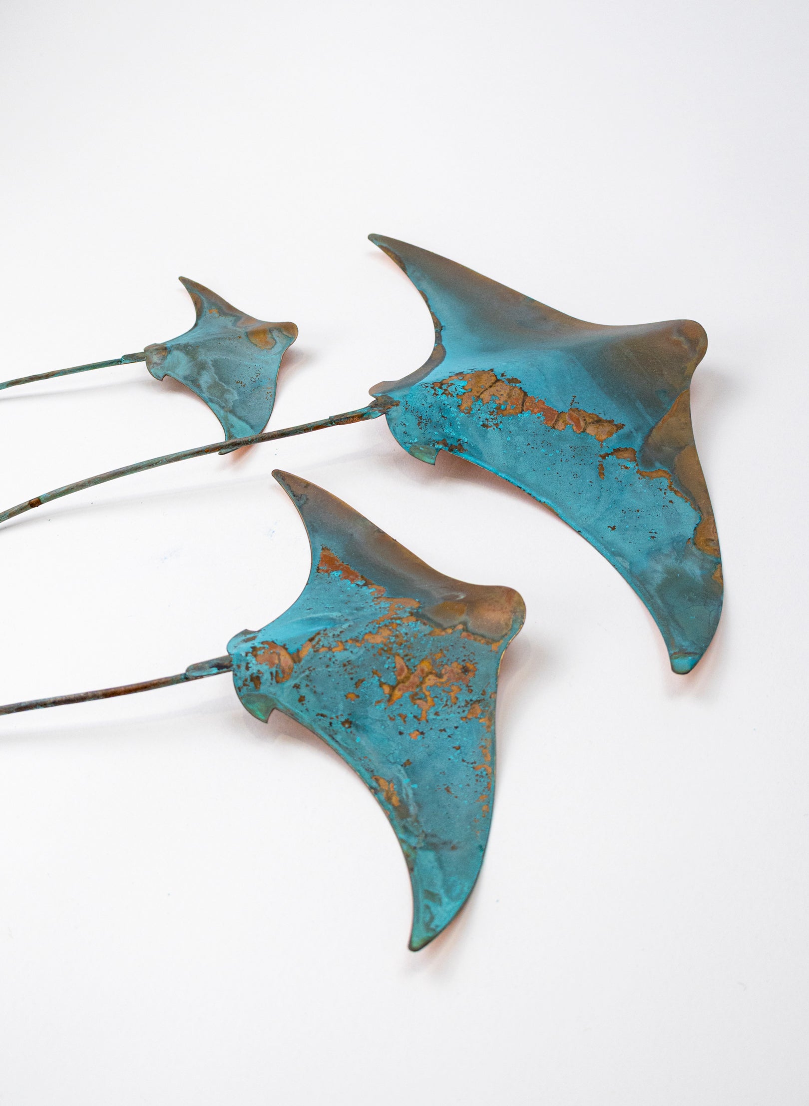 Stingray - Set of 3