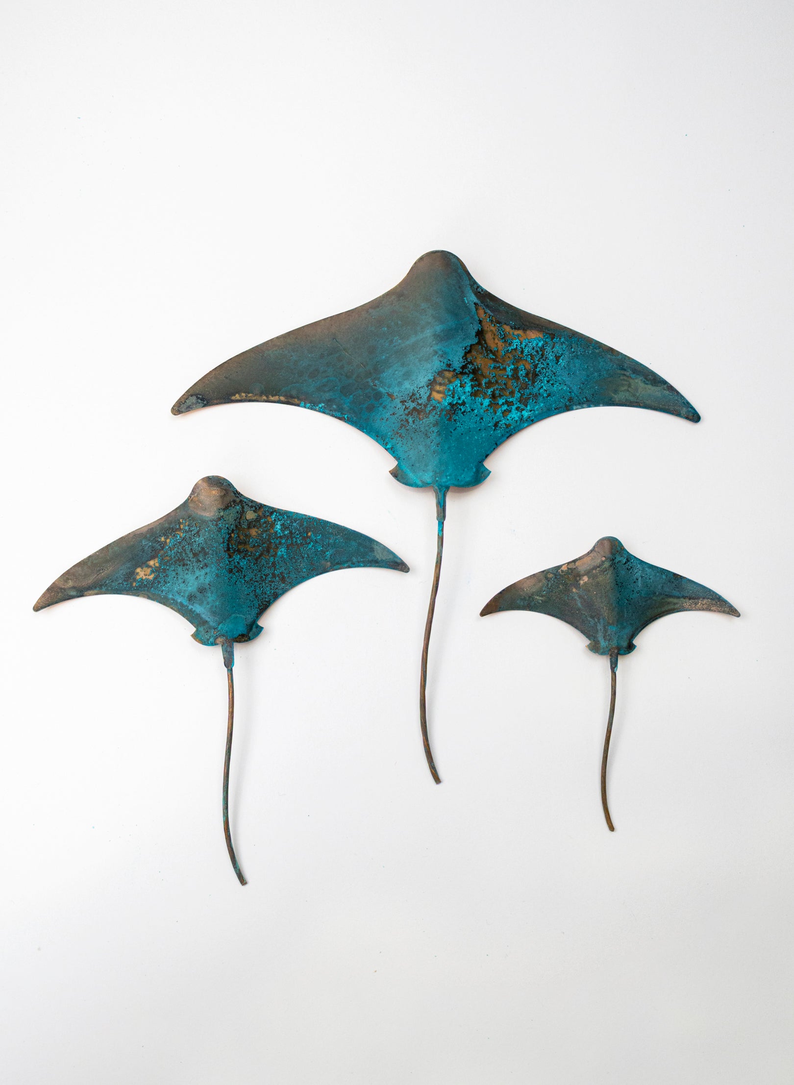 Stingray - Set of 3 (Teal)
