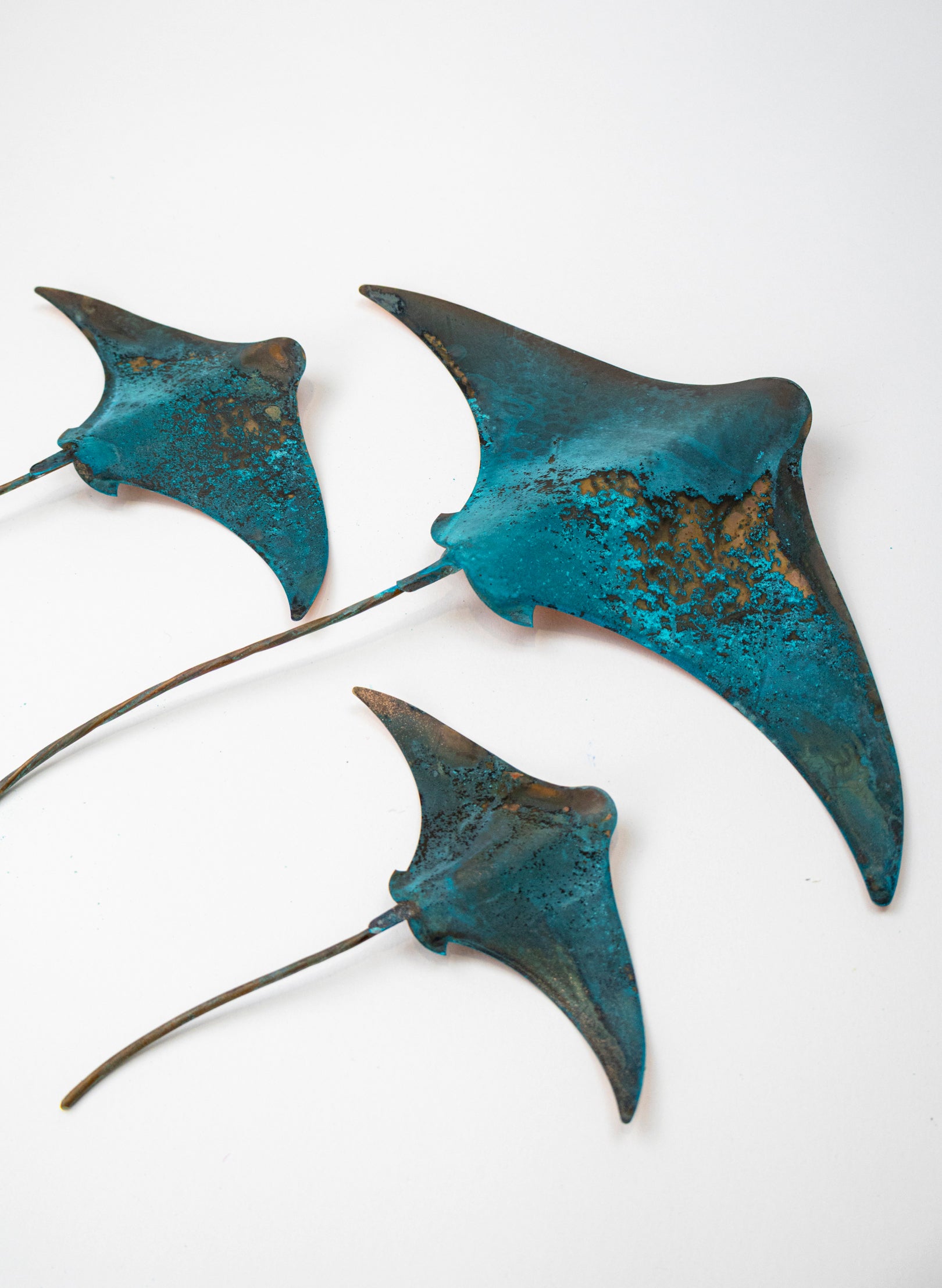 Stingray - Set of 3 (Teal)