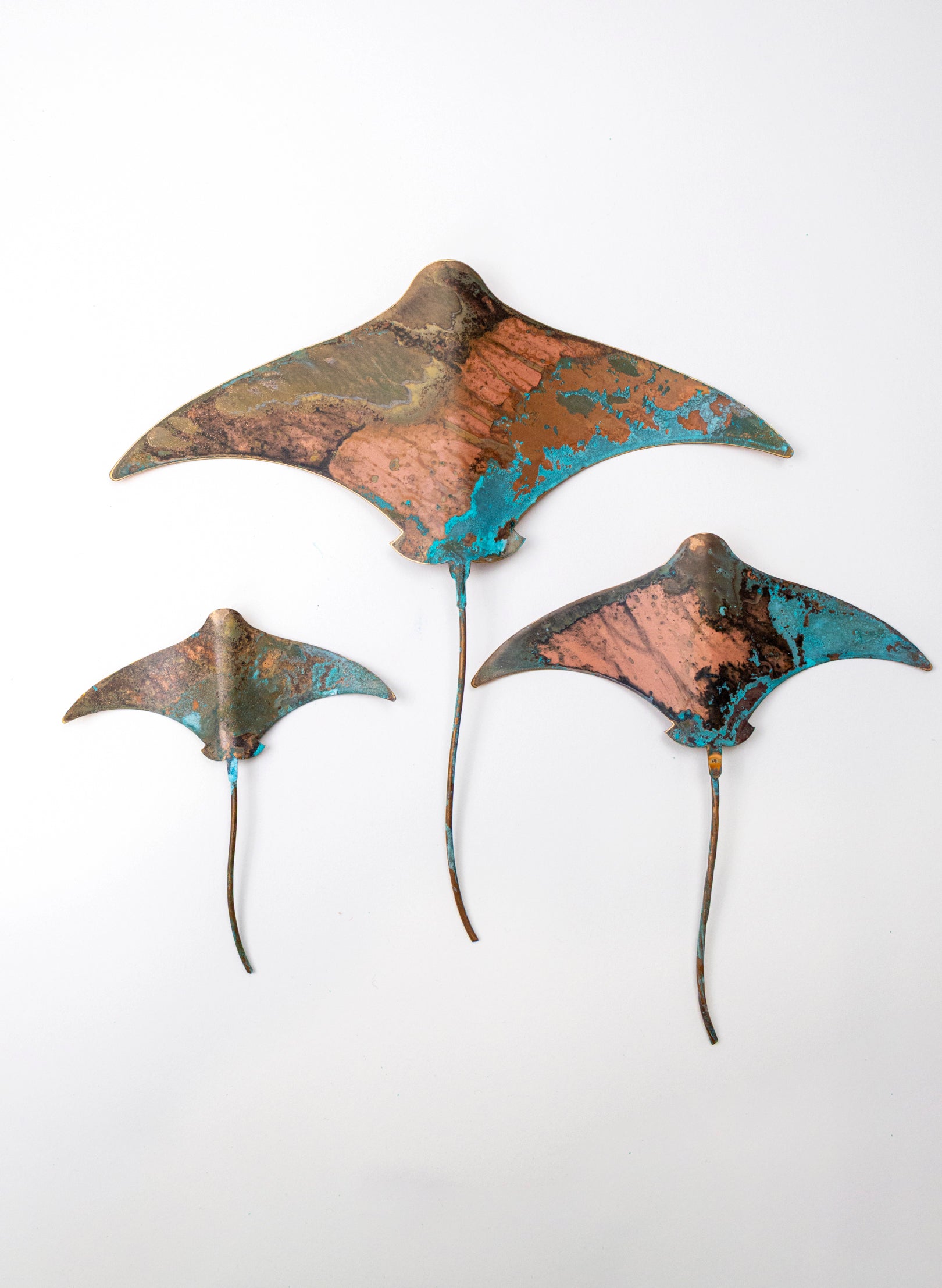 Stingray - Set of 3
