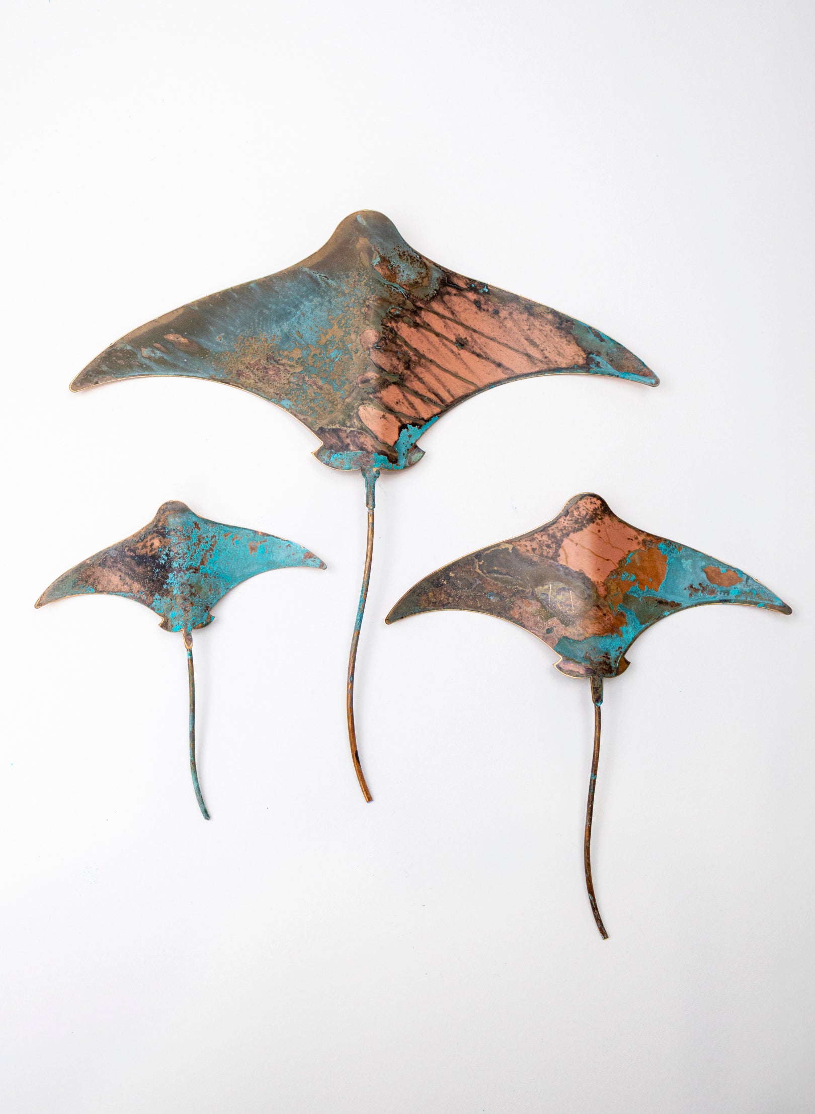 Stingray - Set of 3