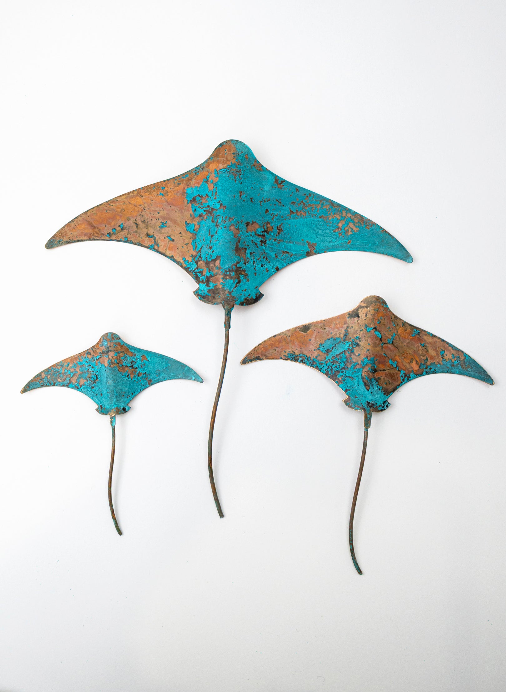 Stingray - Set of 3 (Teal)