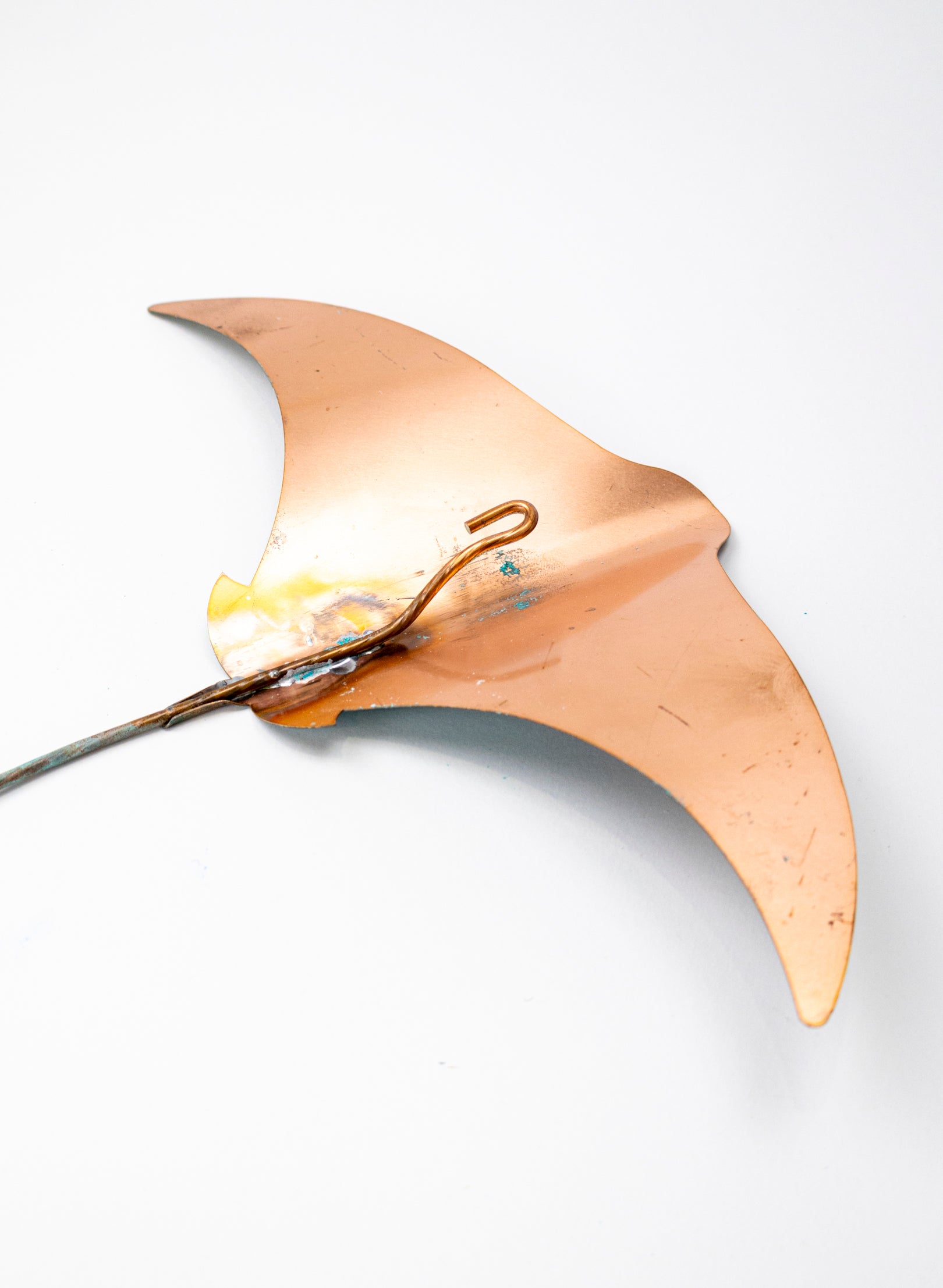 Stingray - Set of 3