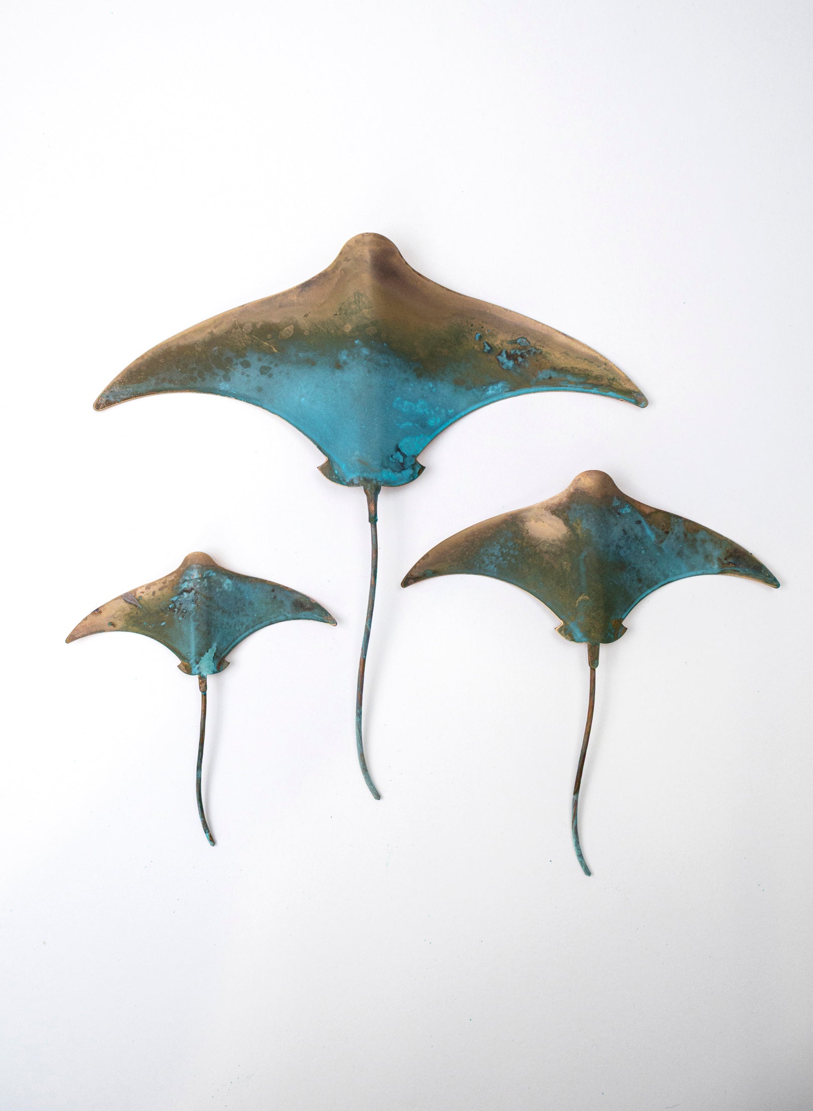 Stingray - Set of 3