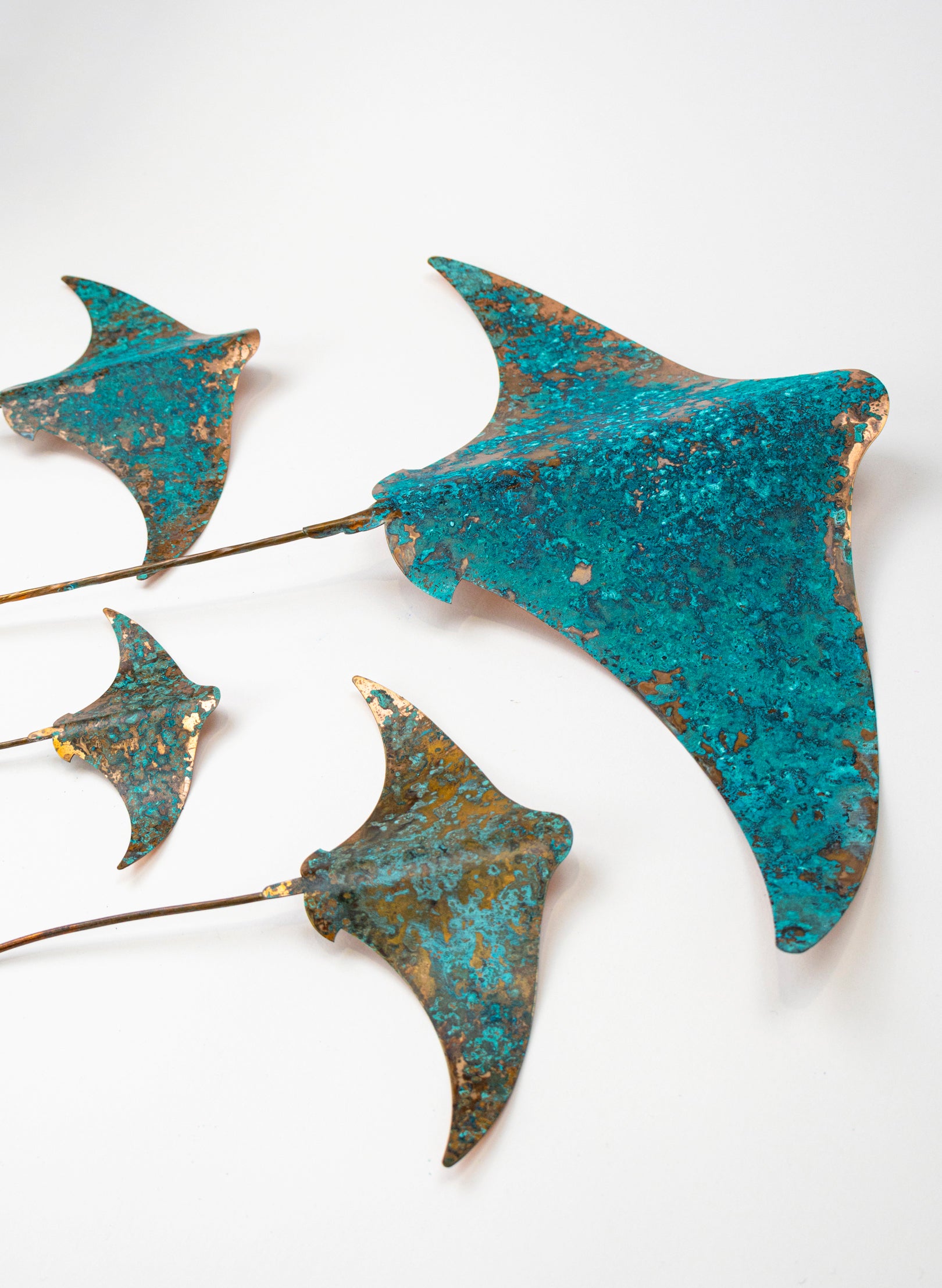Stingray - Set of 4