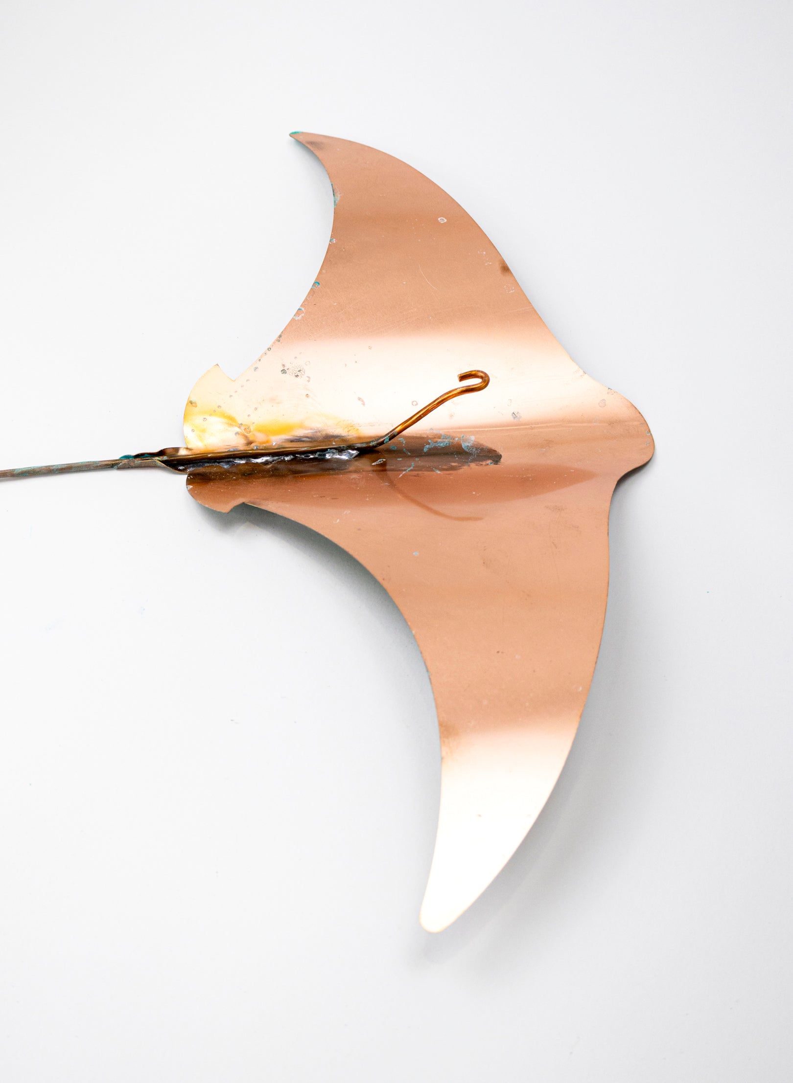 Stingray - Set of 4