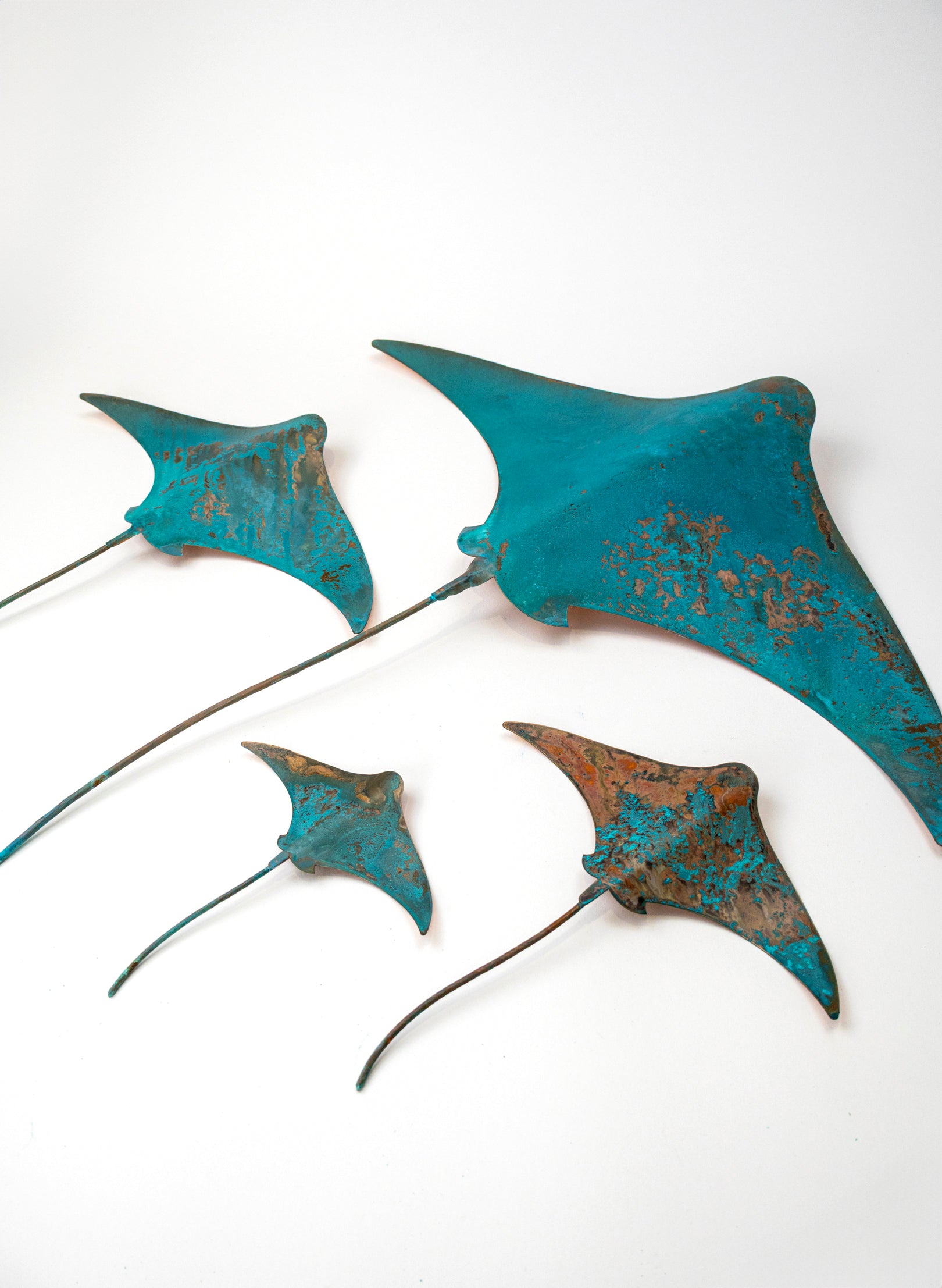 Stingray - Set of 4