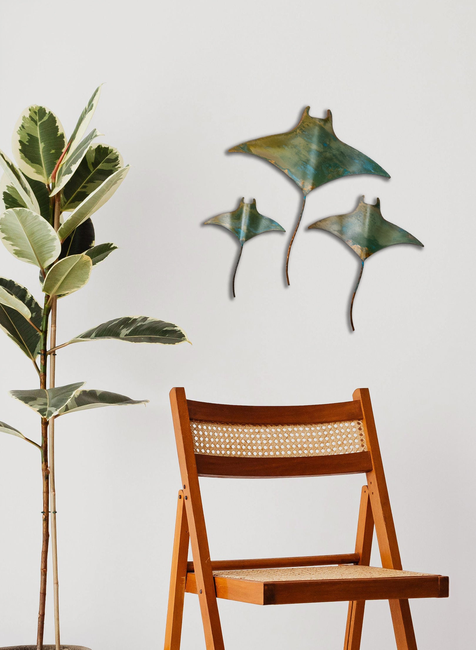 Mantaray - Set of 3