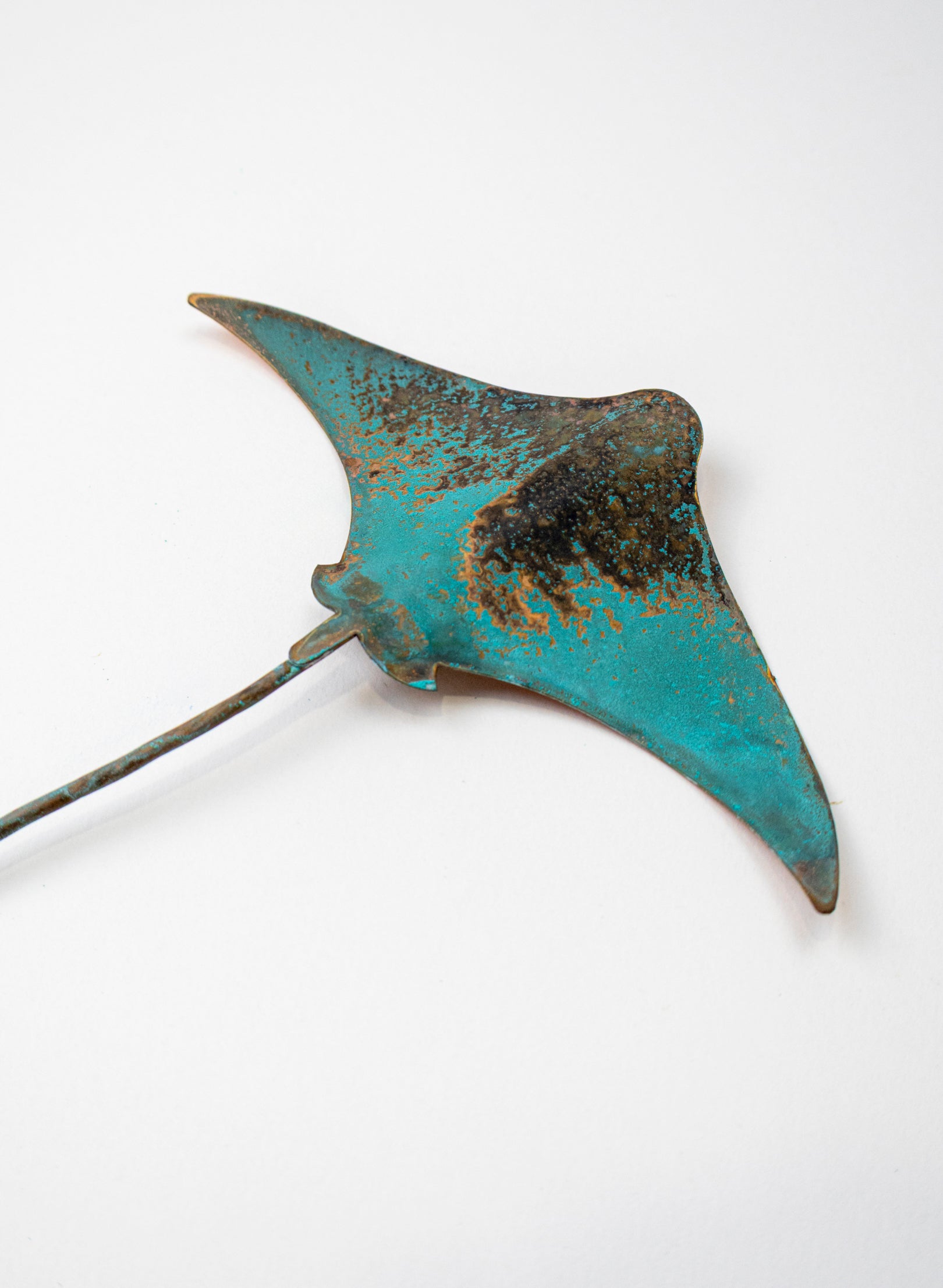 Stingray - Small