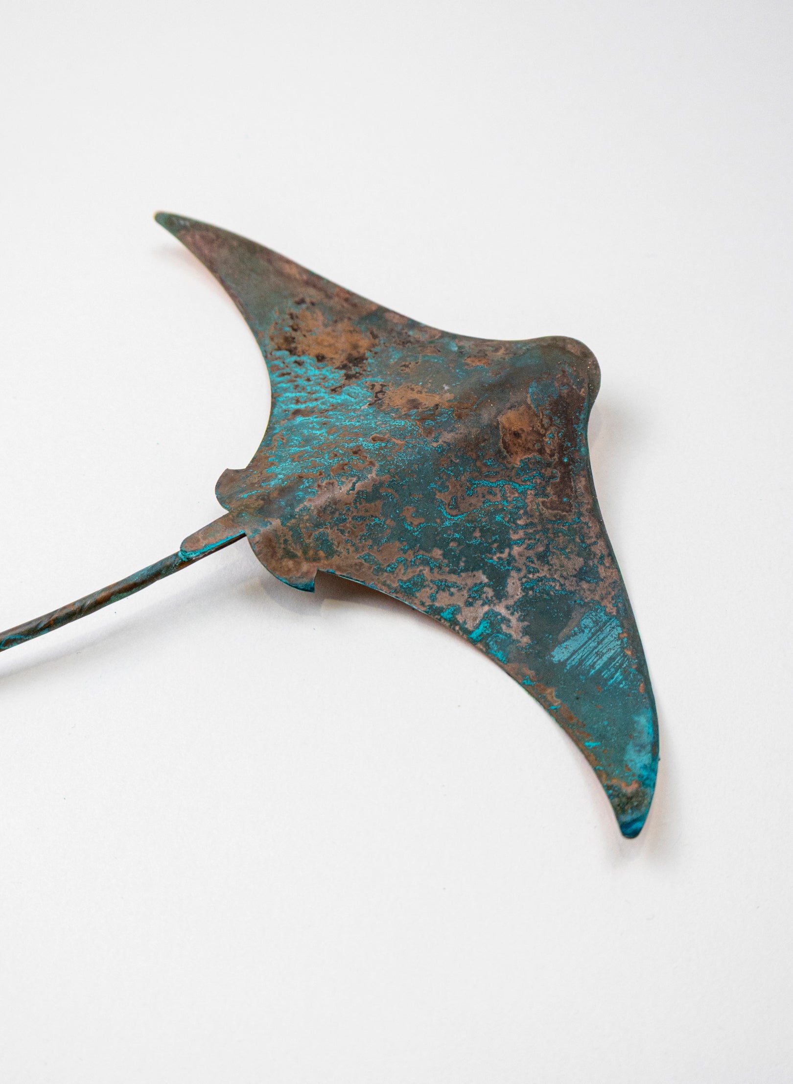 Stingray - Small