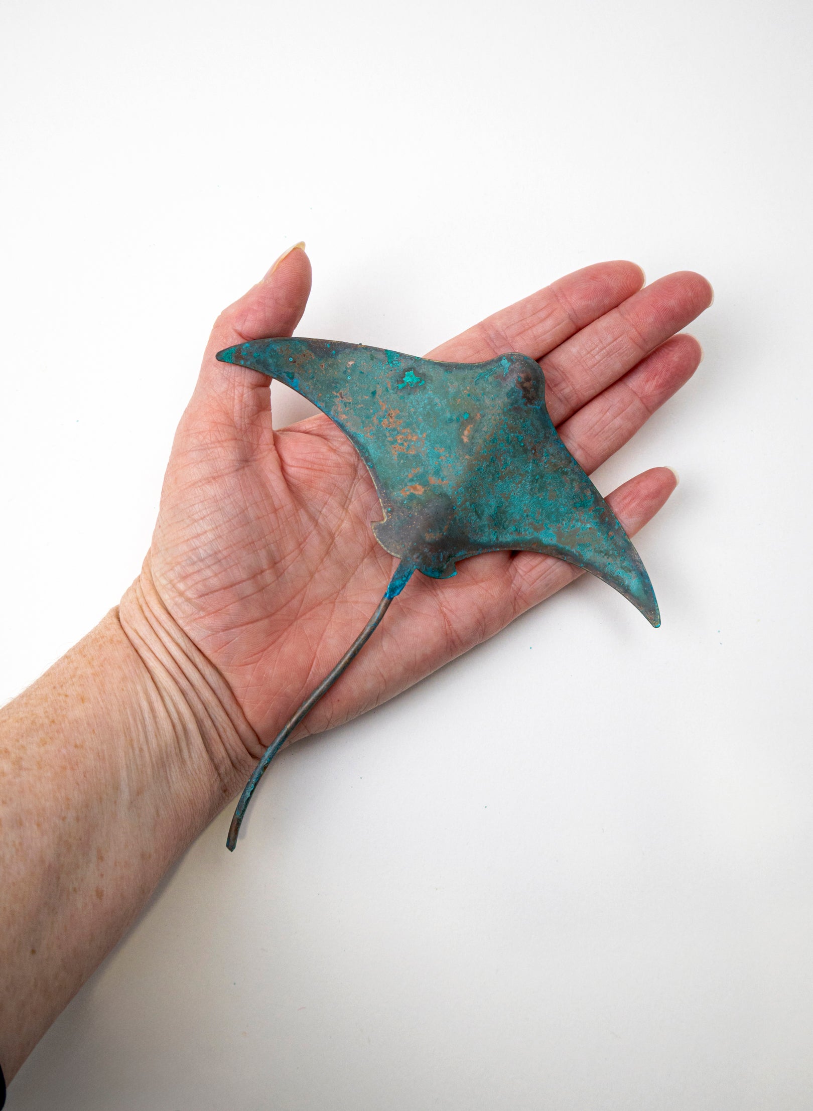 Stingray - Small