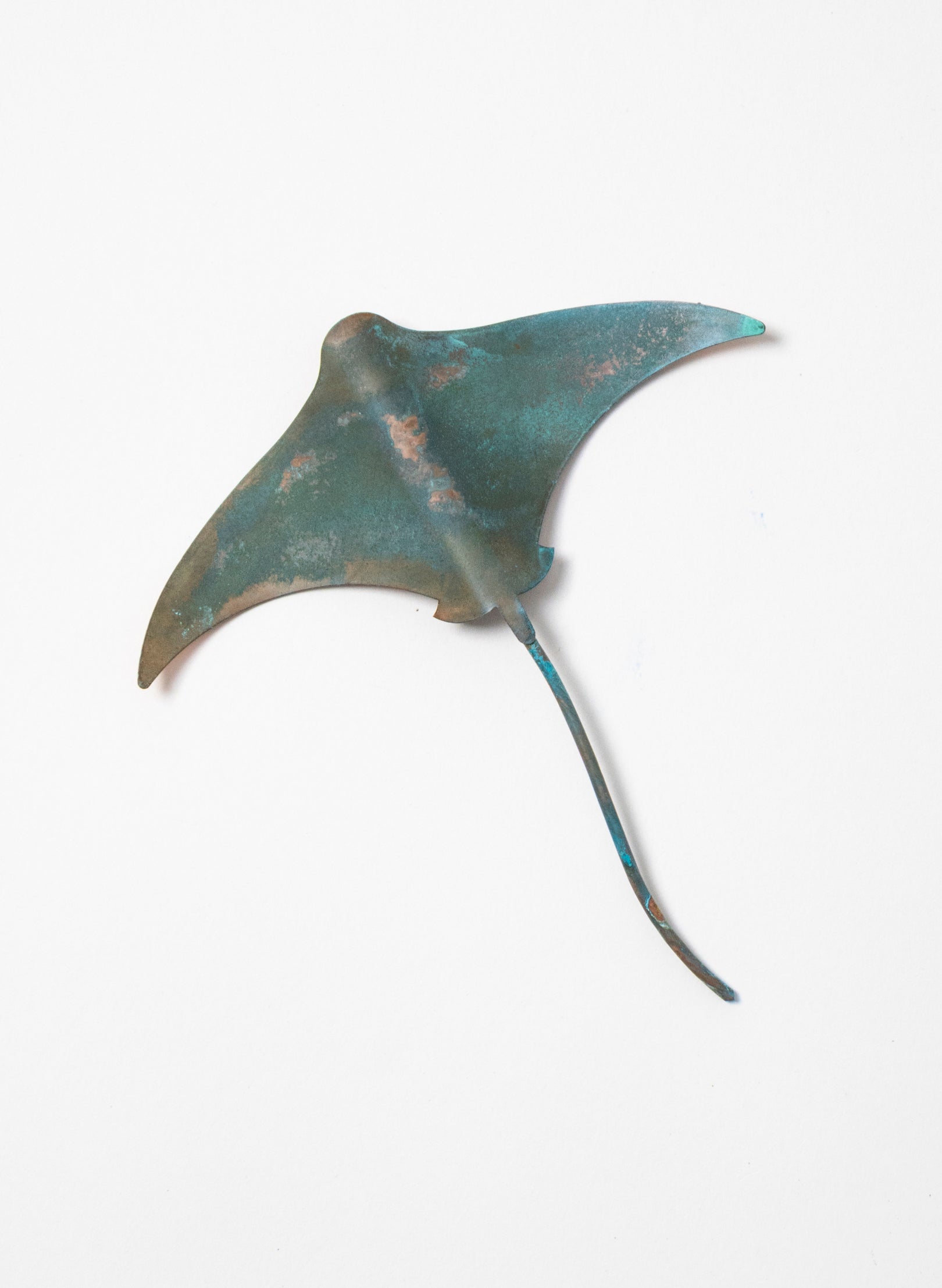 Stingray - Small