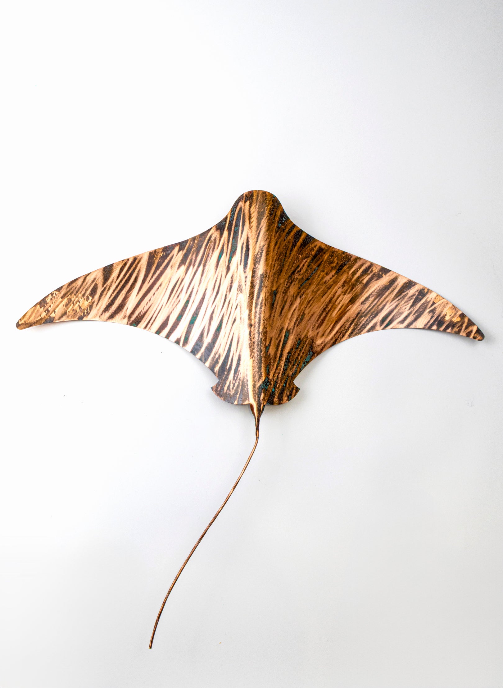 Stingray - XXL