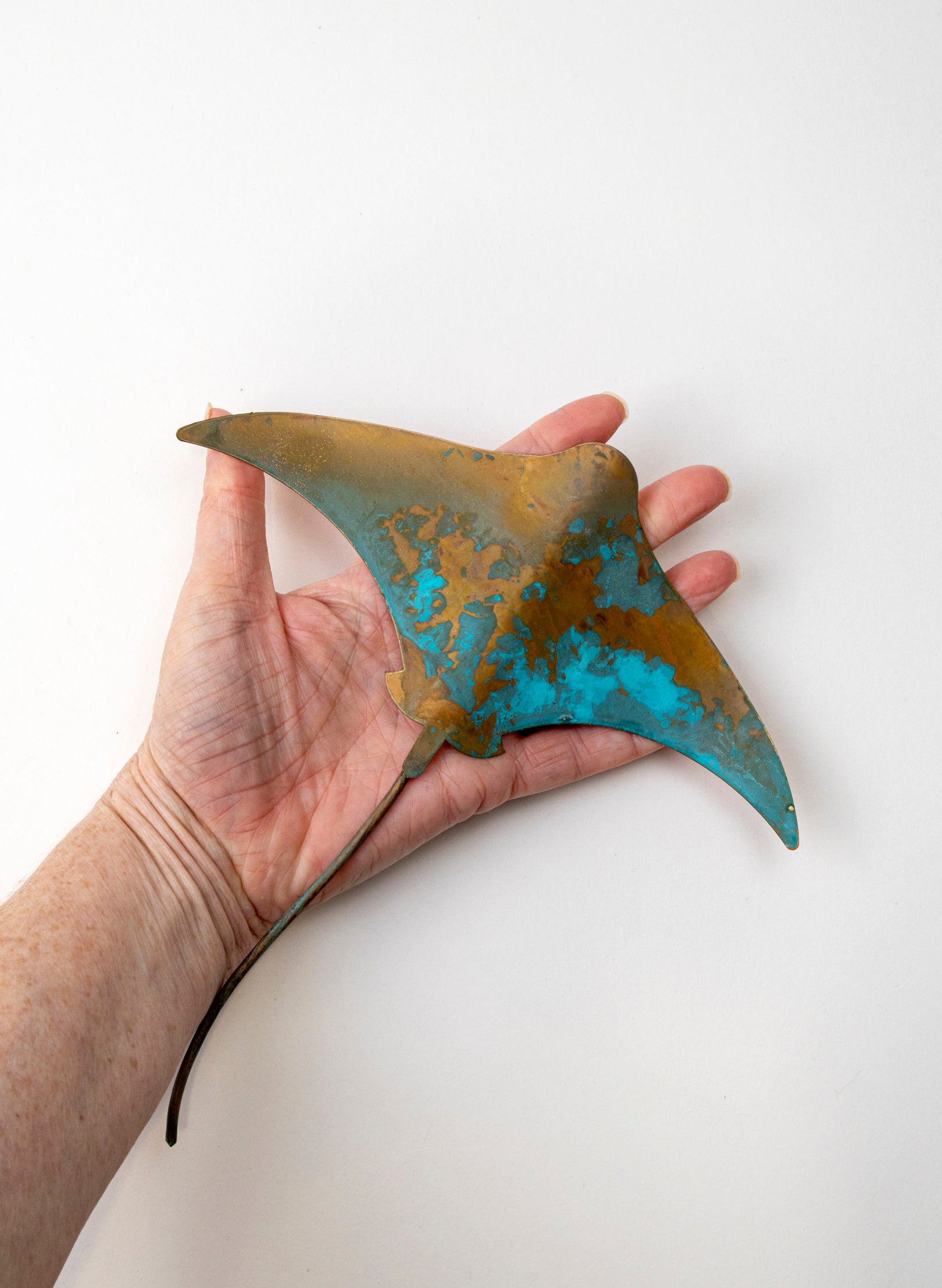 Stingray - Medium