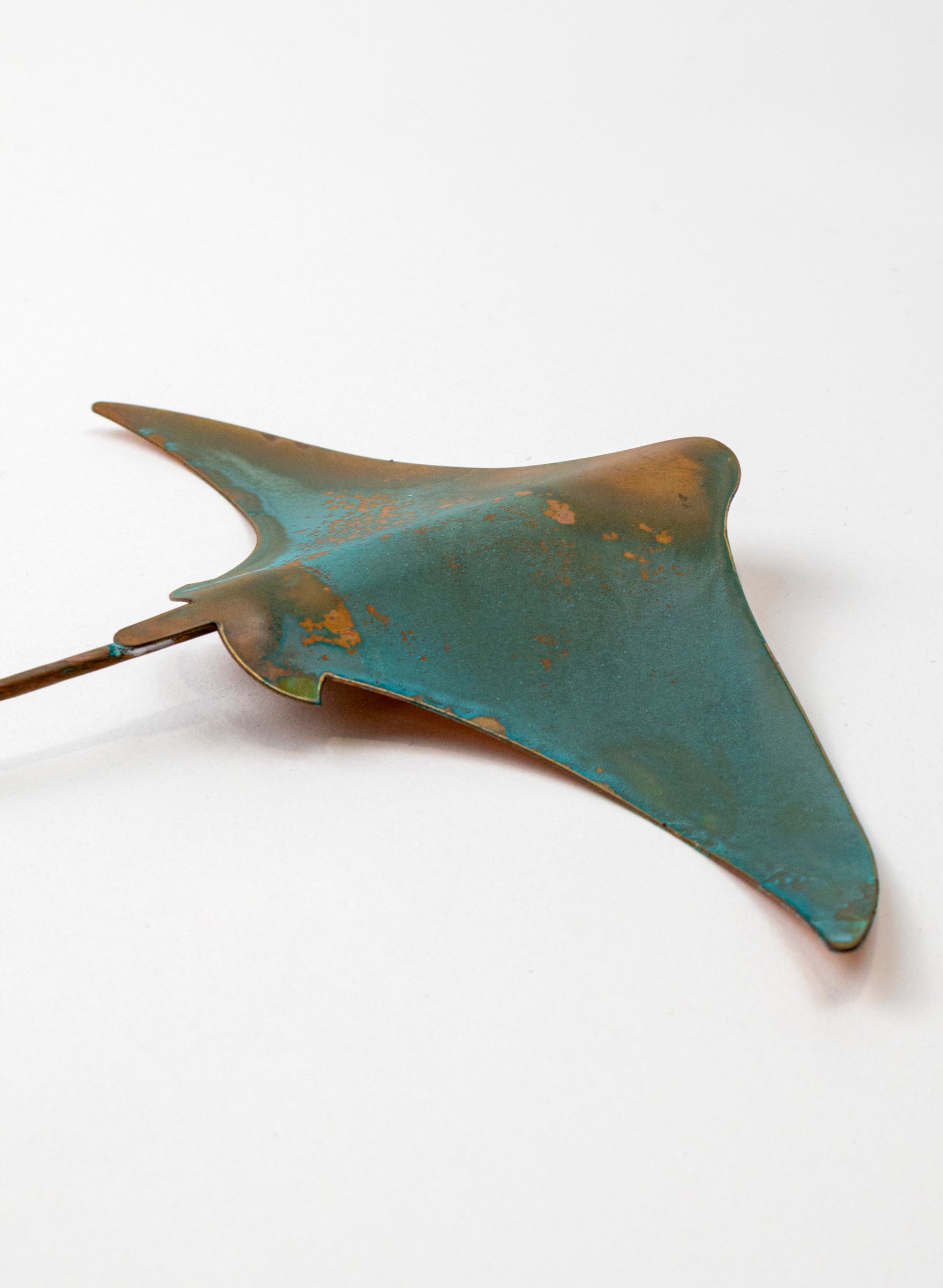Stingray - Medium
