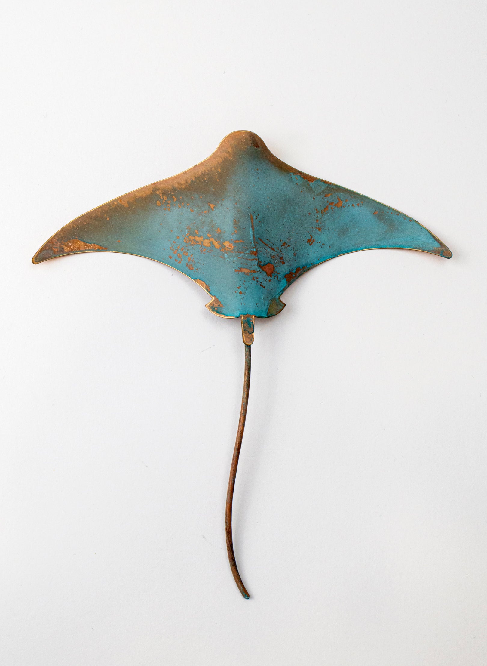 Stingray - Medium