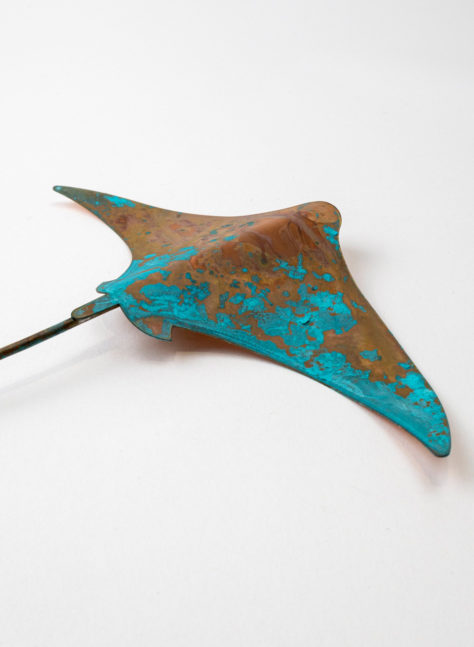 Stingray - Medium