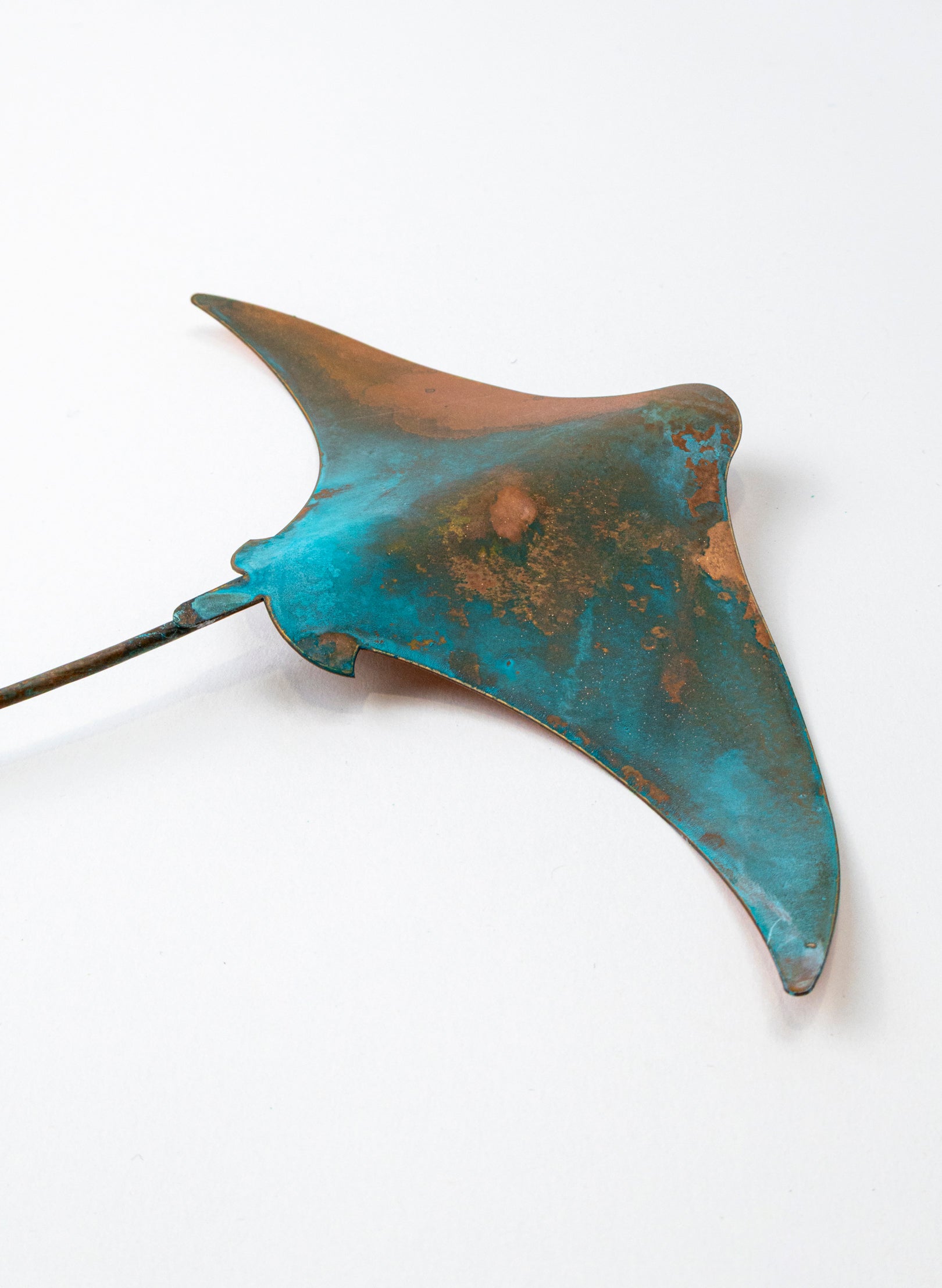 Stingray - Medium