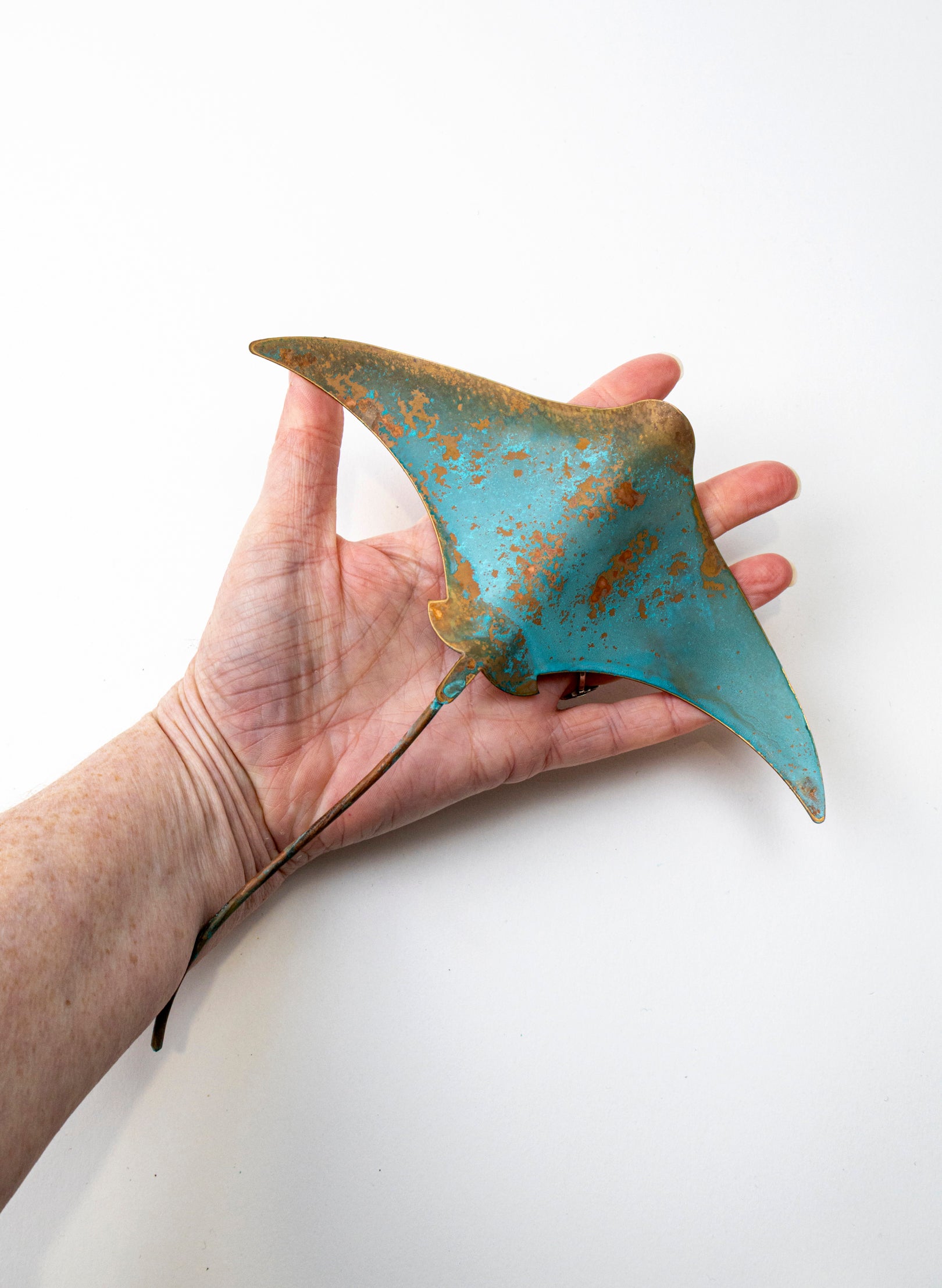 Stingray - Medium