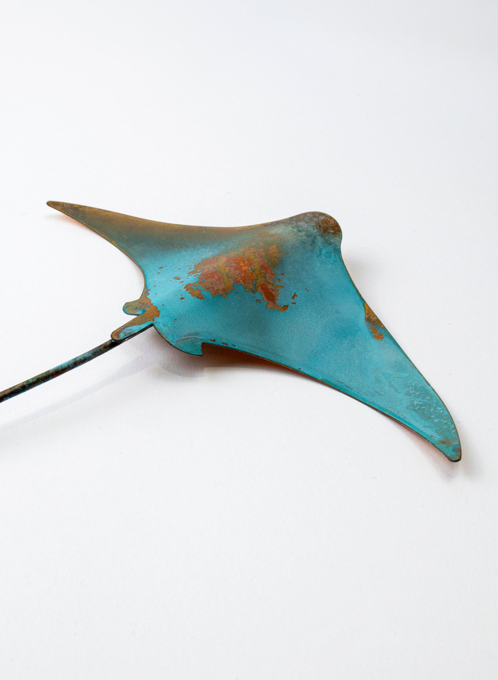 Stingray - Medium