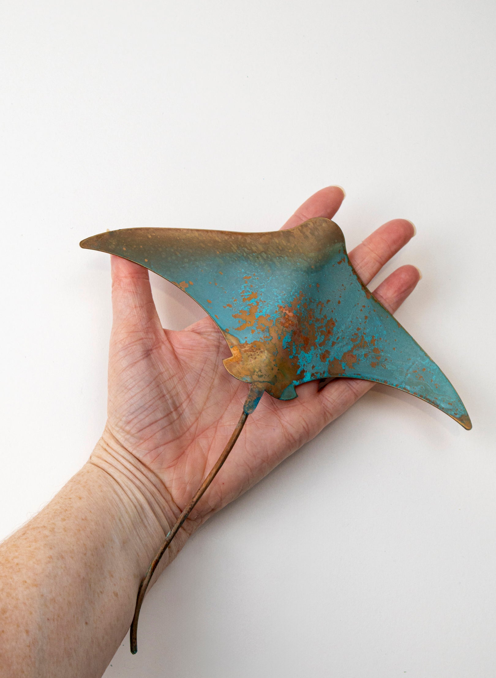 Stingray - Medium