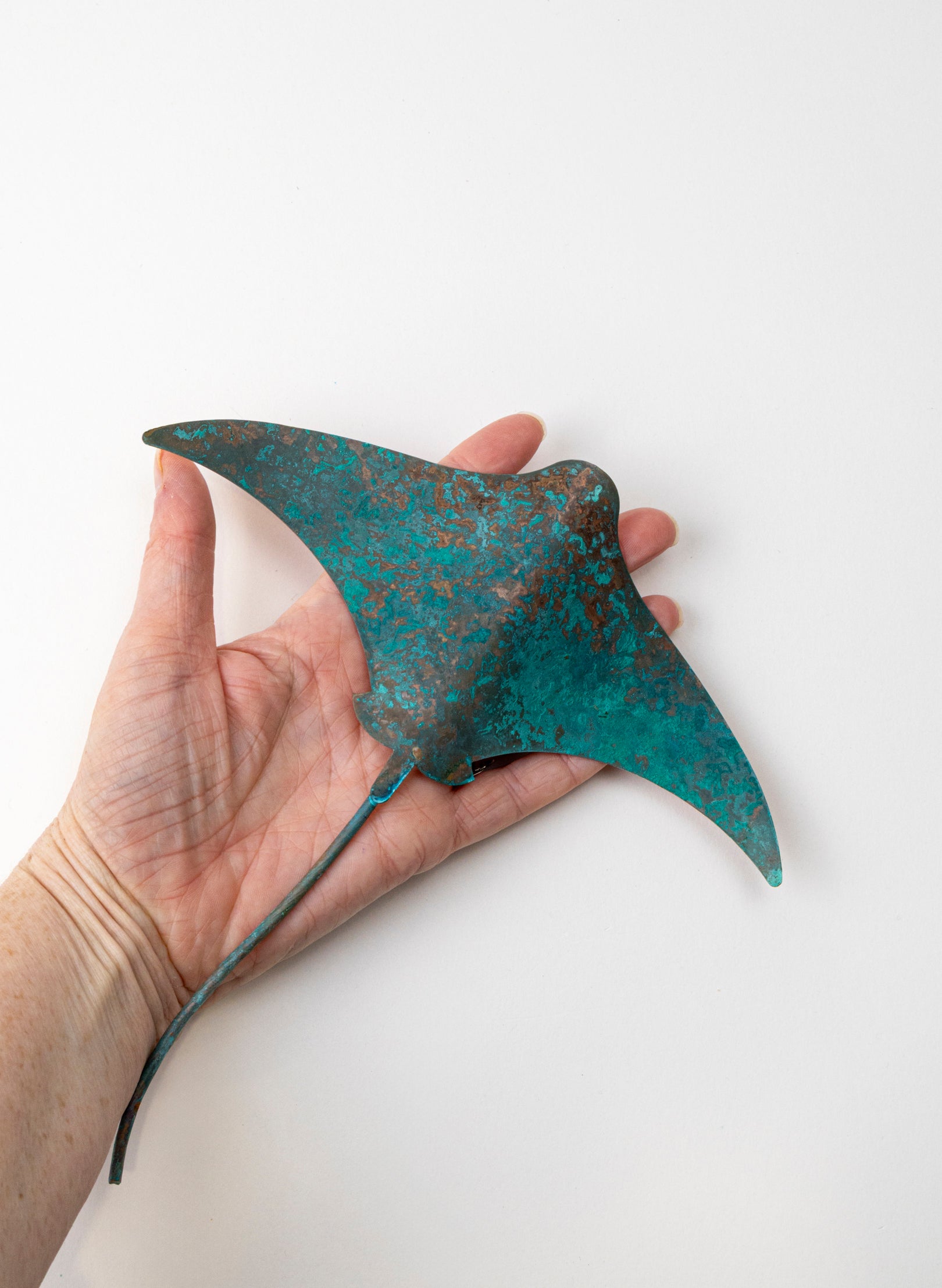 Stingray - Medium
