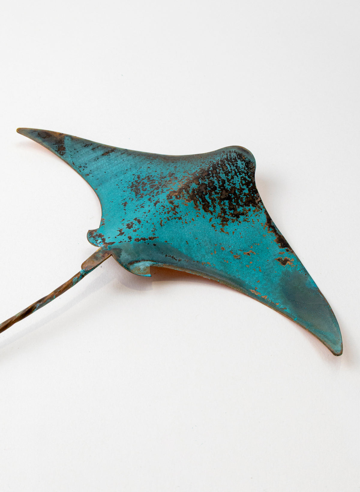 Stingray - Medium