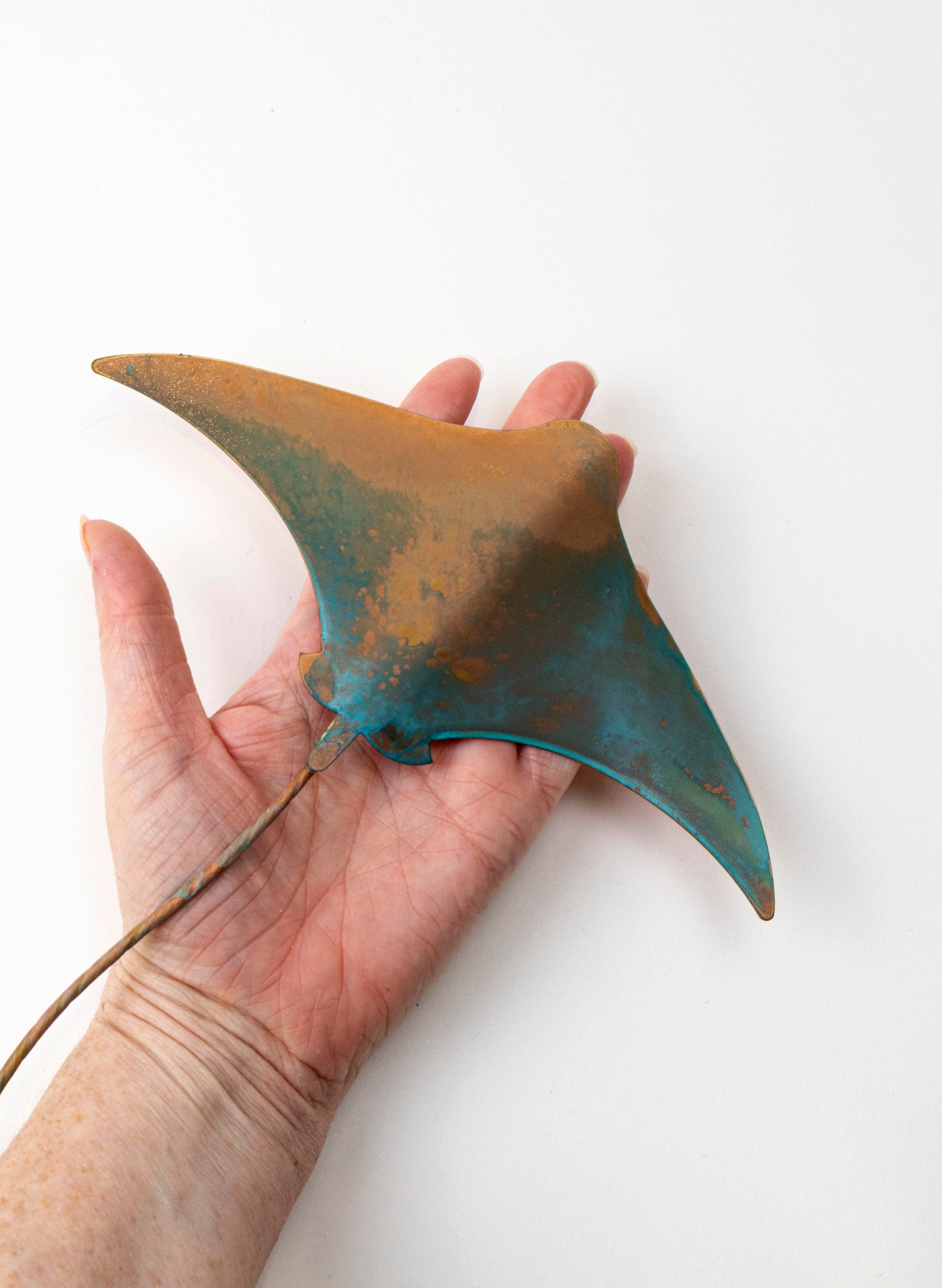 Stingray - Medium