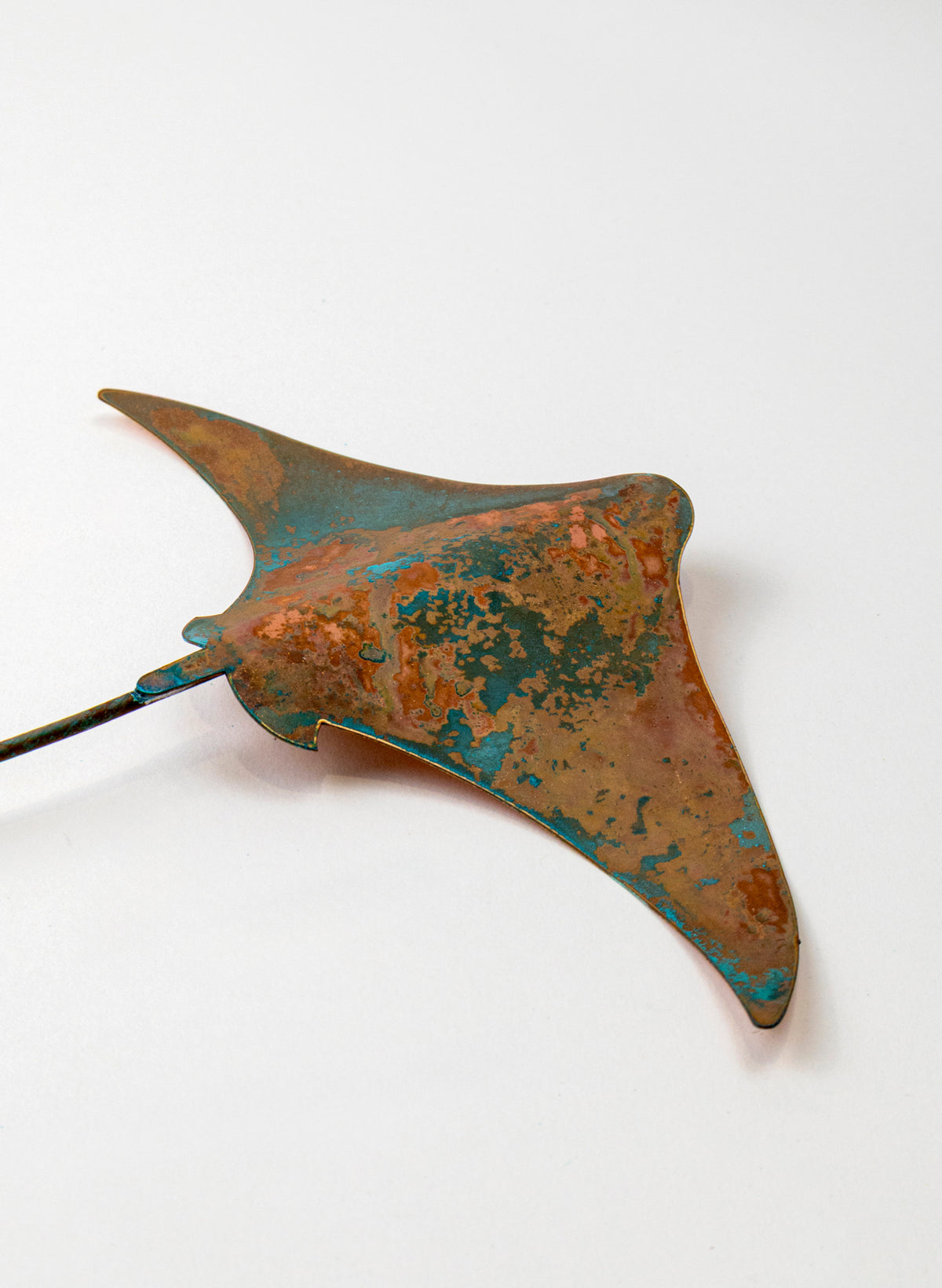 Stingray - Medium