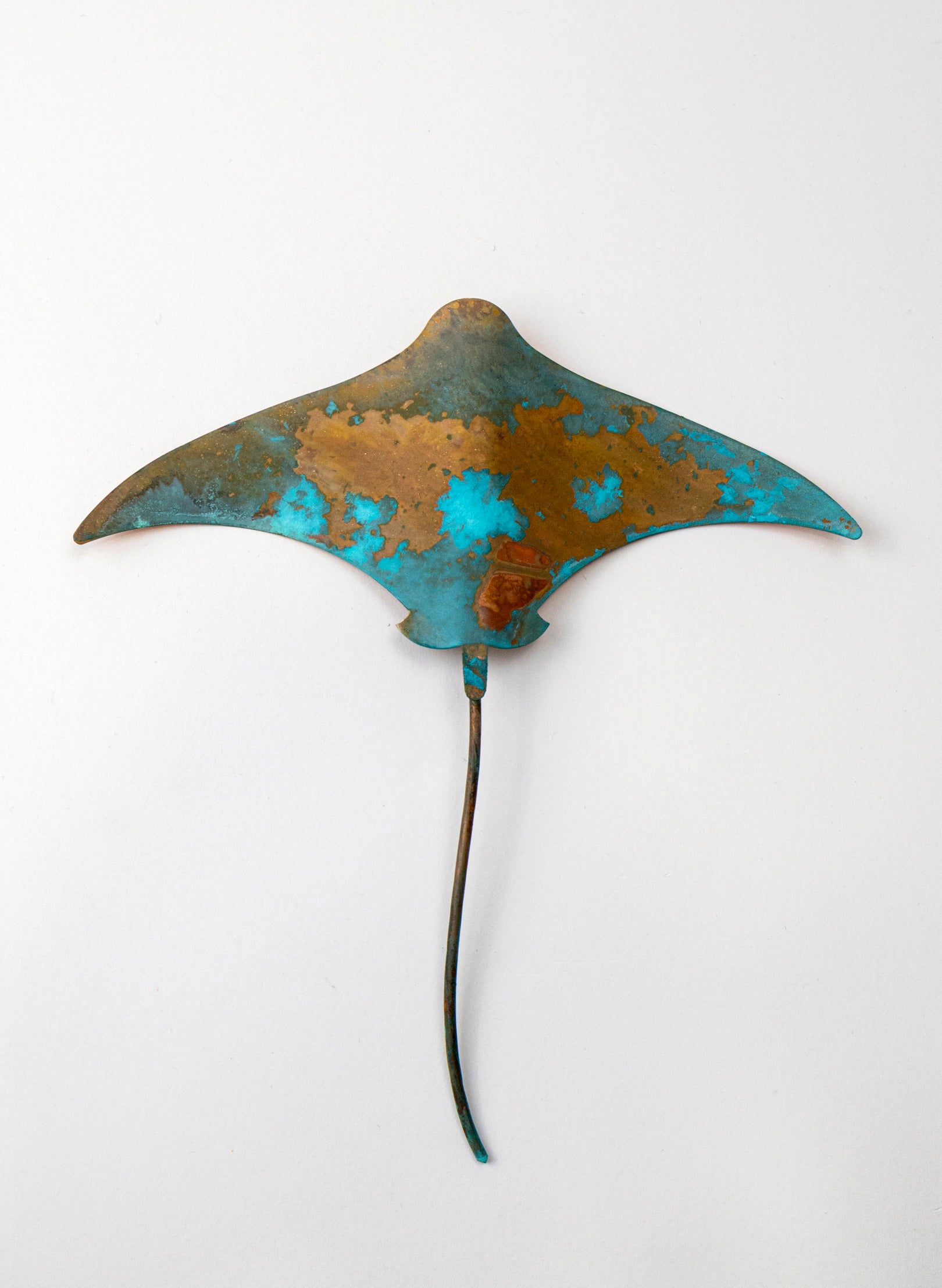 Stingray - Medium