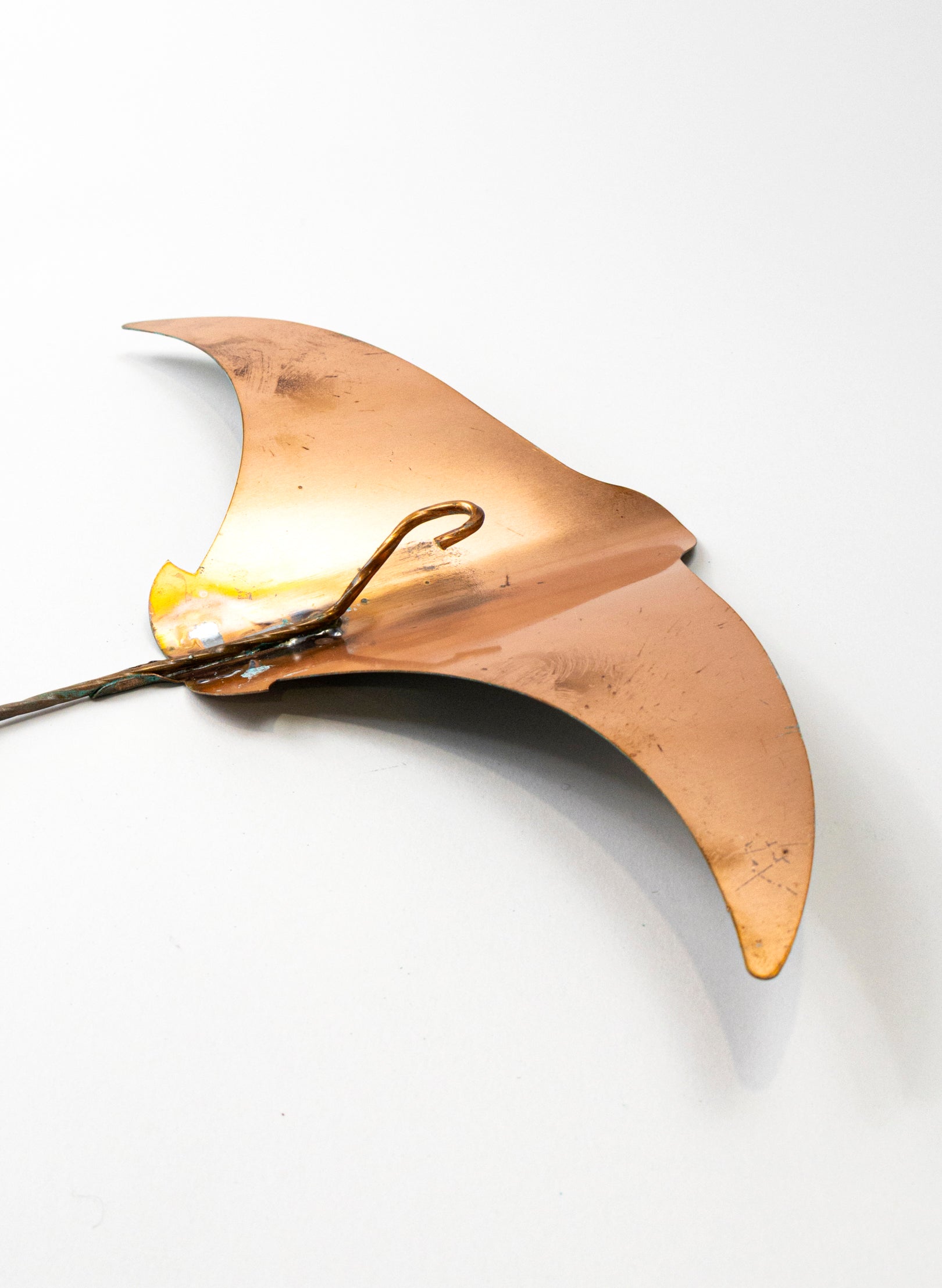 Stingray - Large
