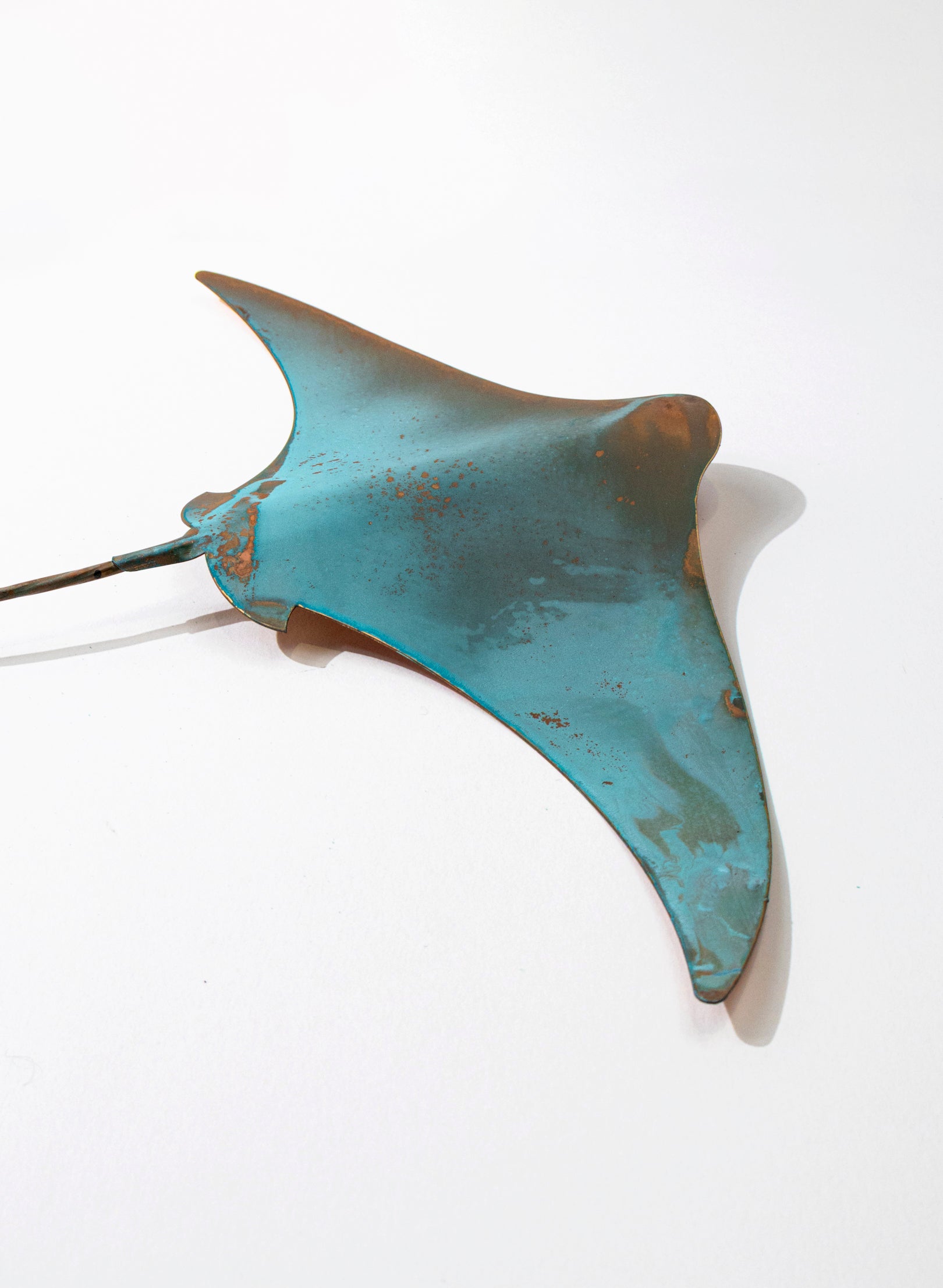 Stingray - Large