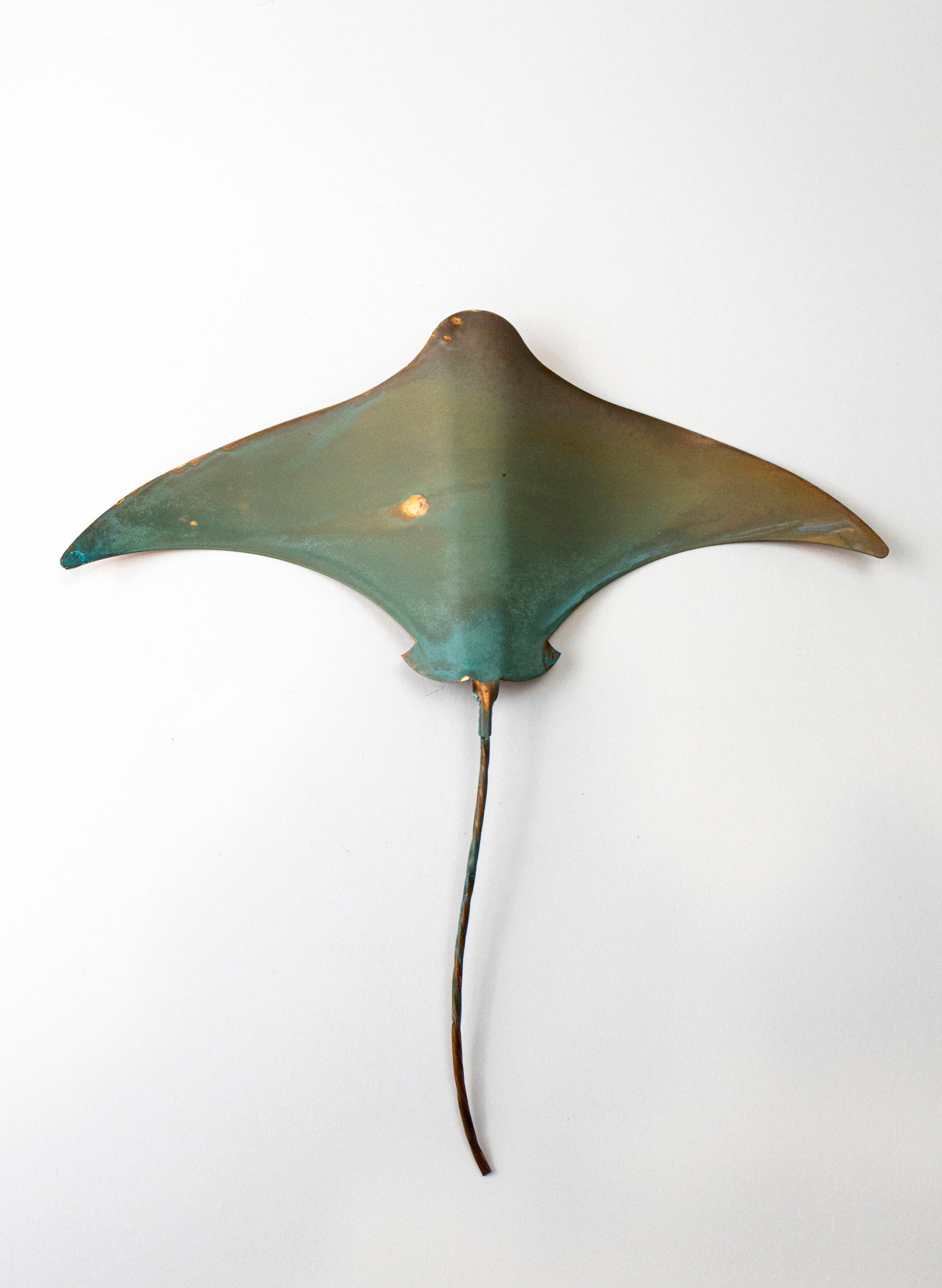 Stingray - Large