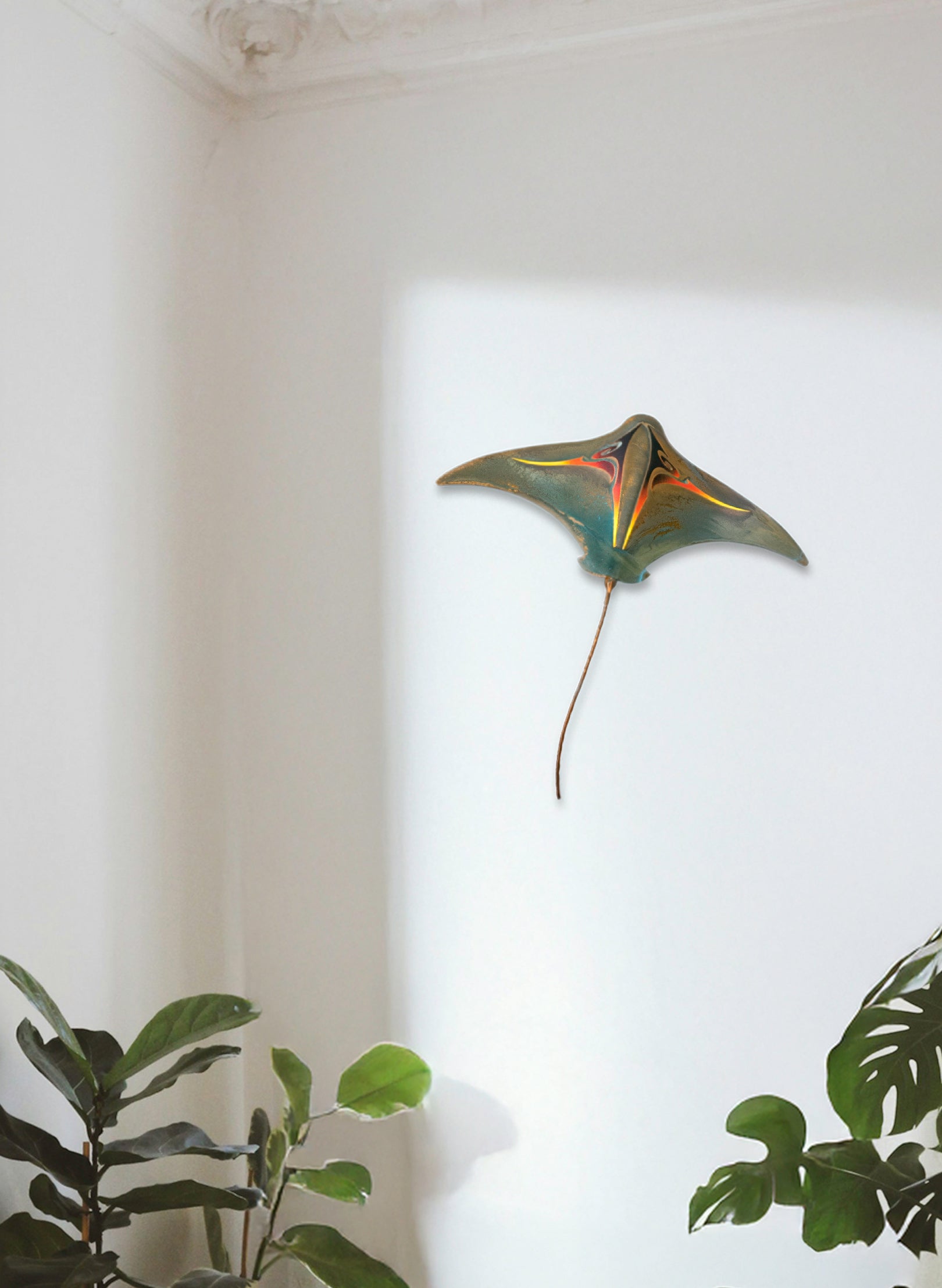 Ember Pacific Stingray - XL