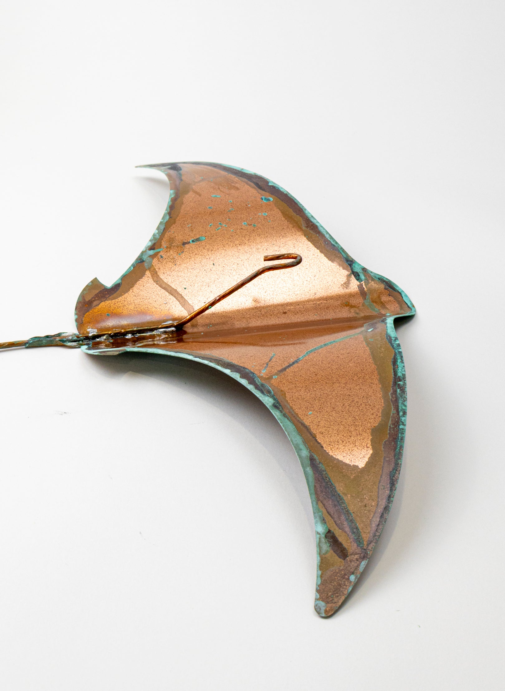 Stingray - XL