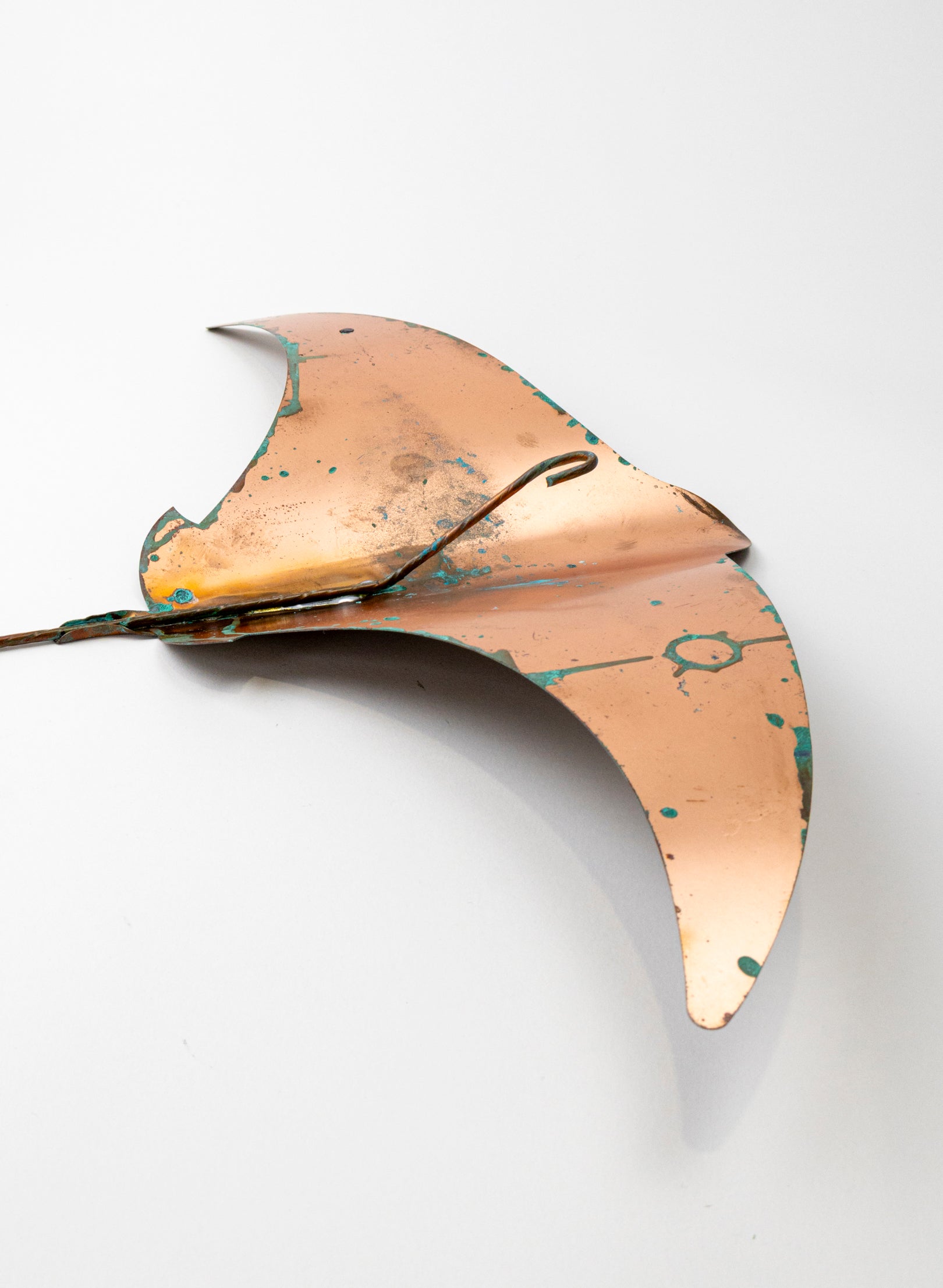 Stingray - XL