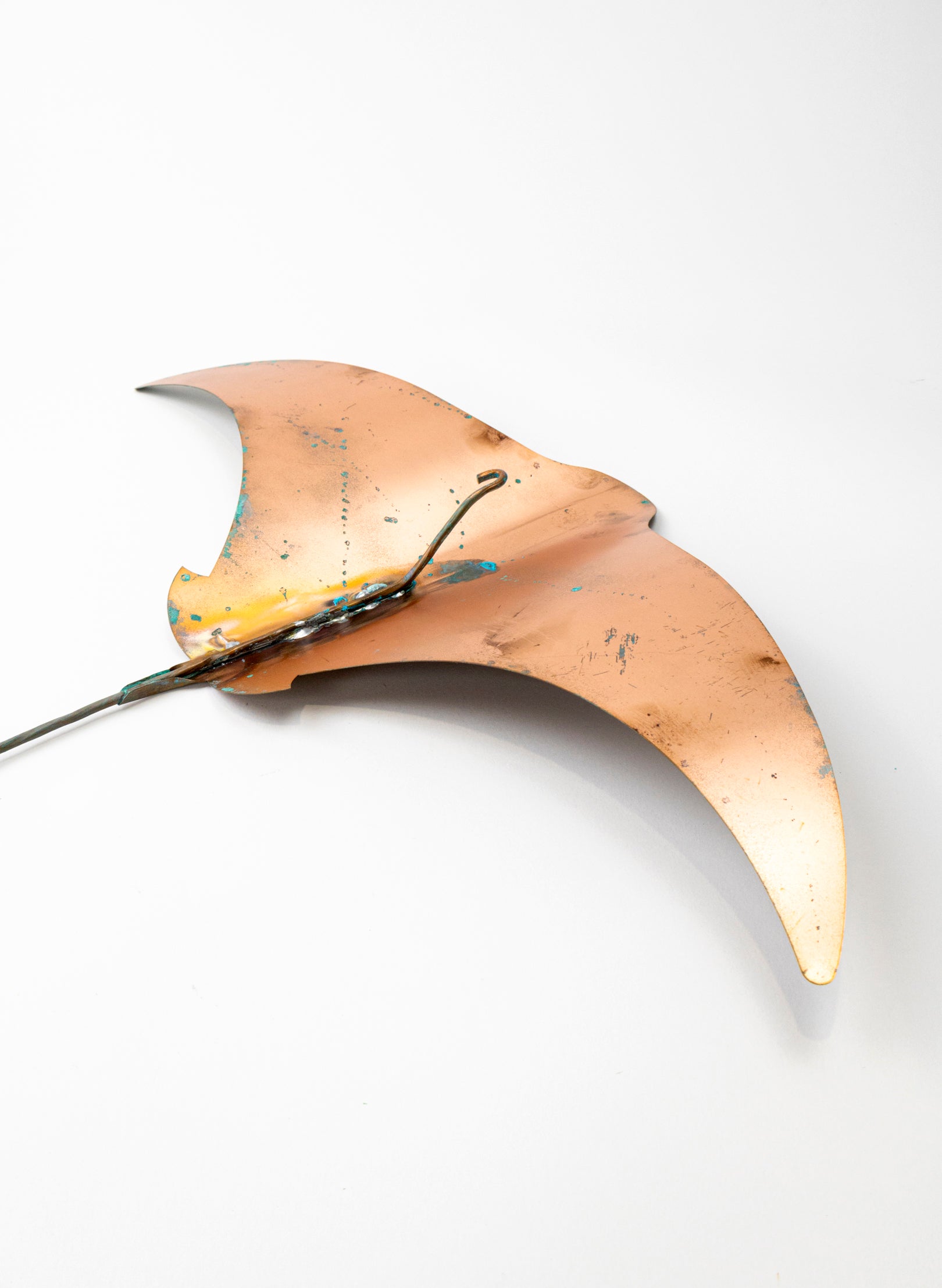 Stingray - XL