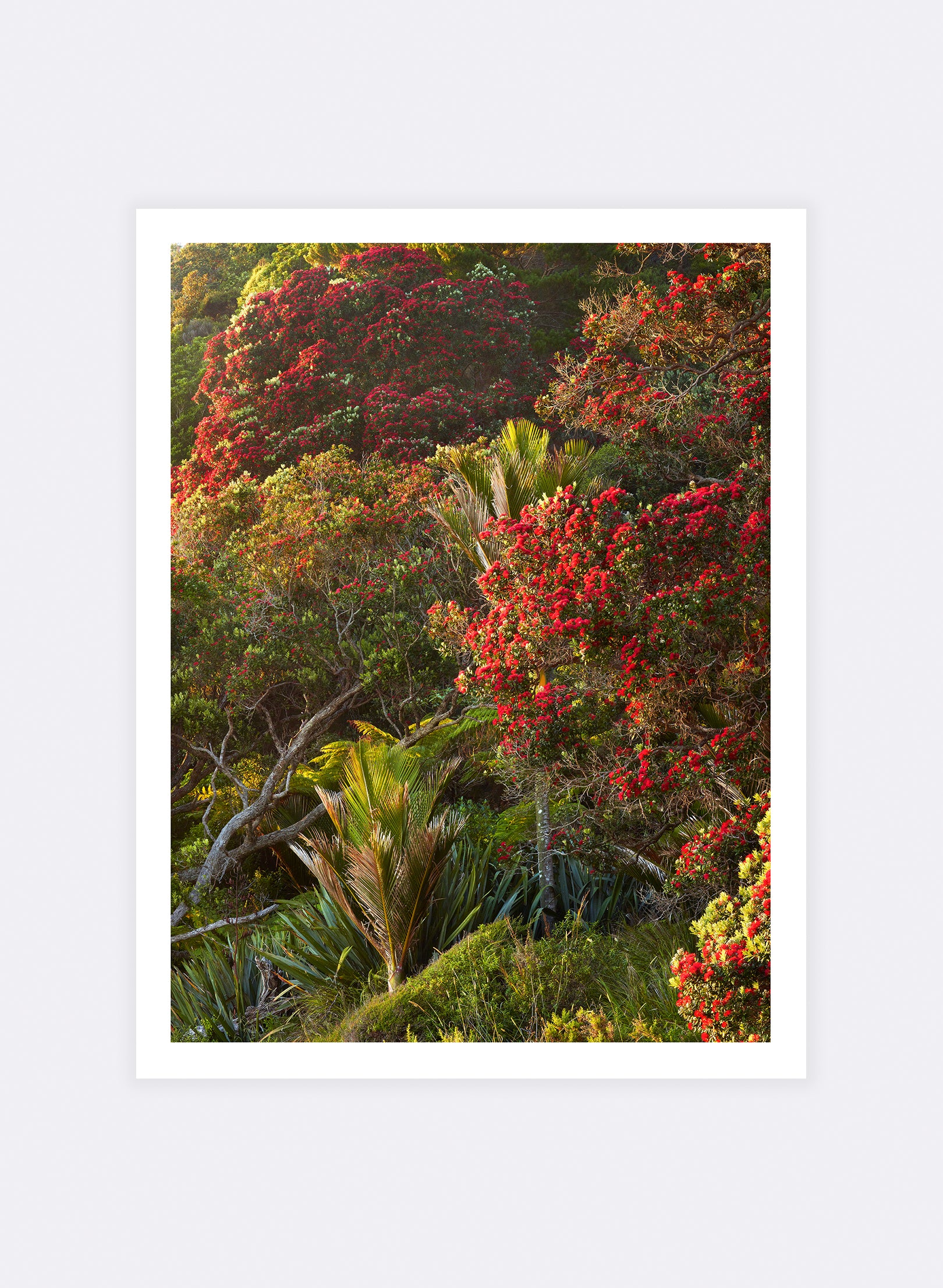 Dawn Parade - Photographic Print