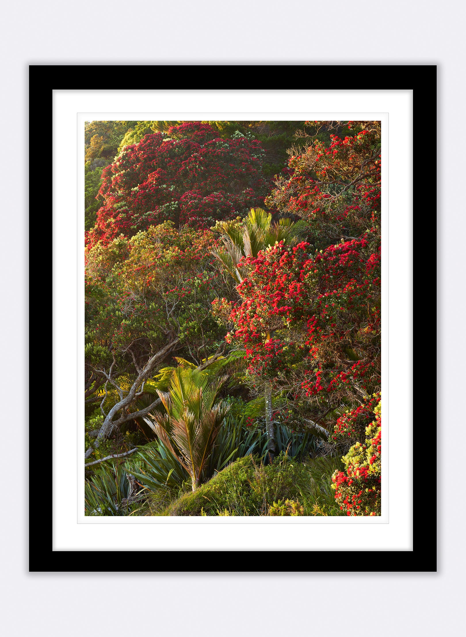 Dawn Parade - Photographic Print
