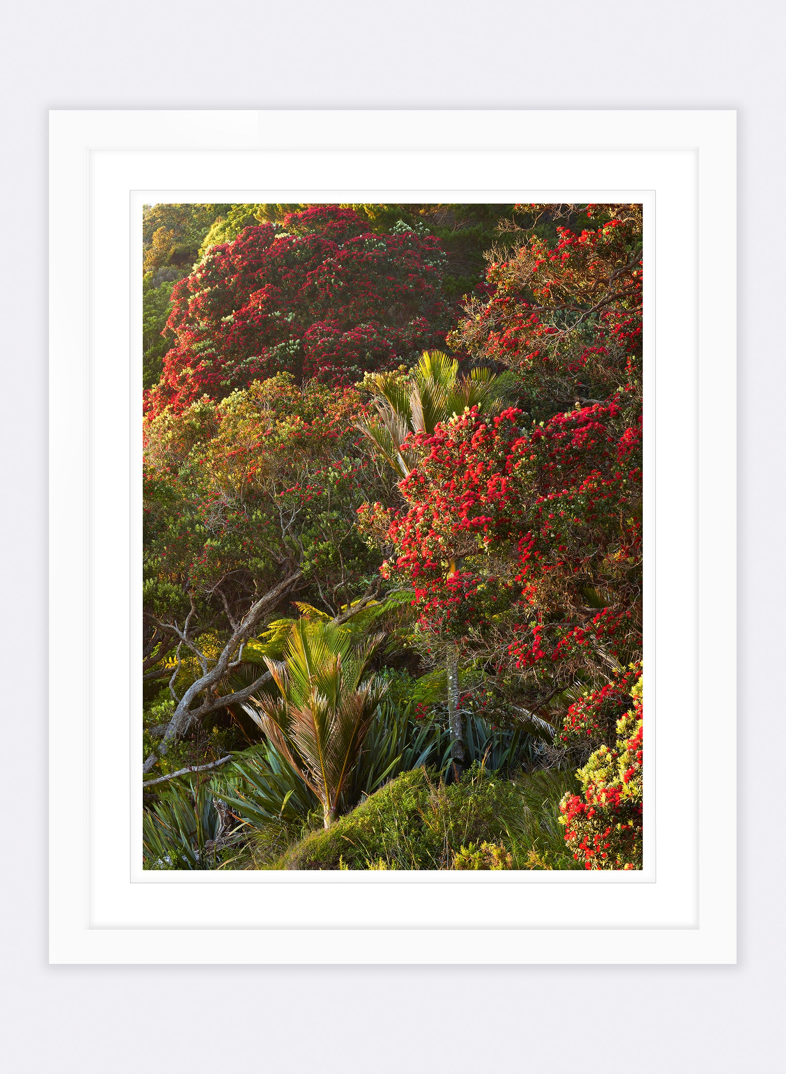 Dawn Parade - Photographic Print