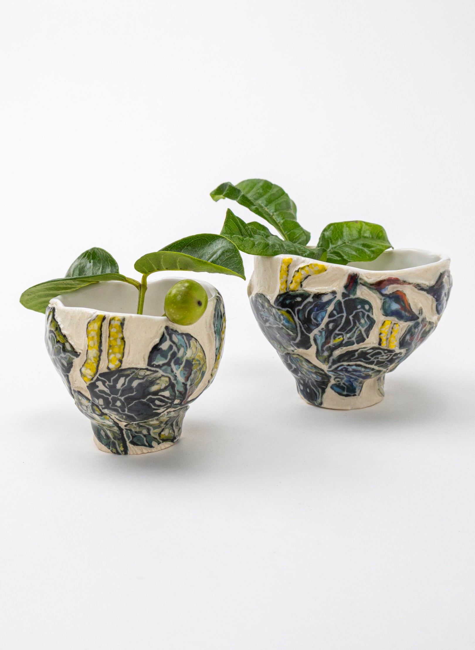 Kawakawa Curio - Sml