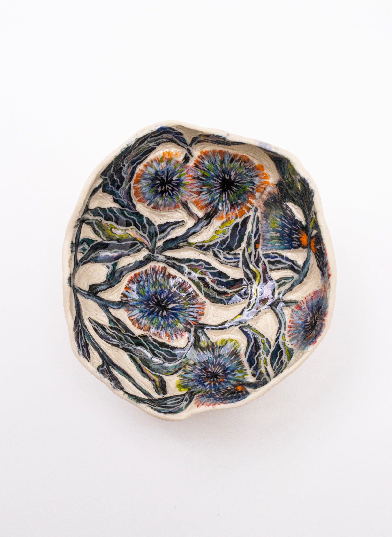 Hakea Laurina Trance